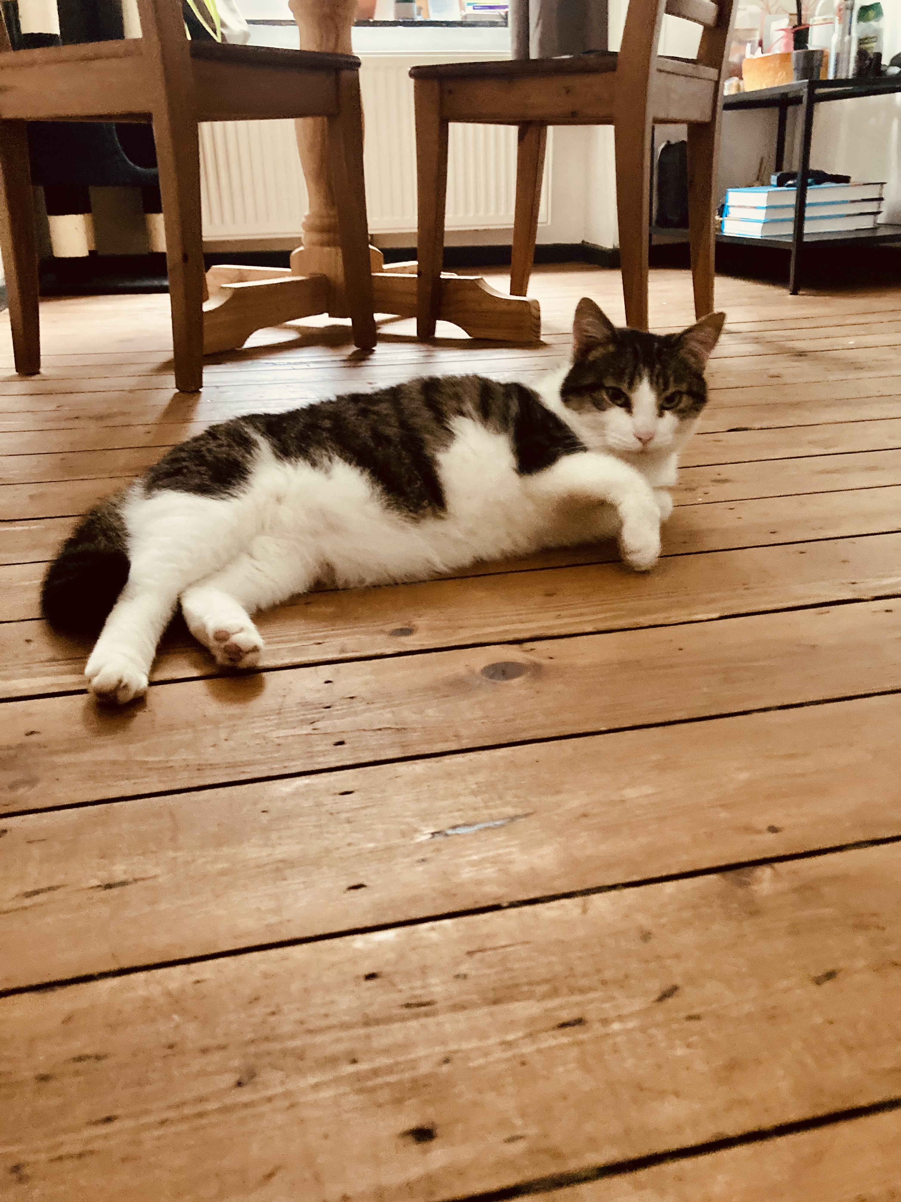 image-16