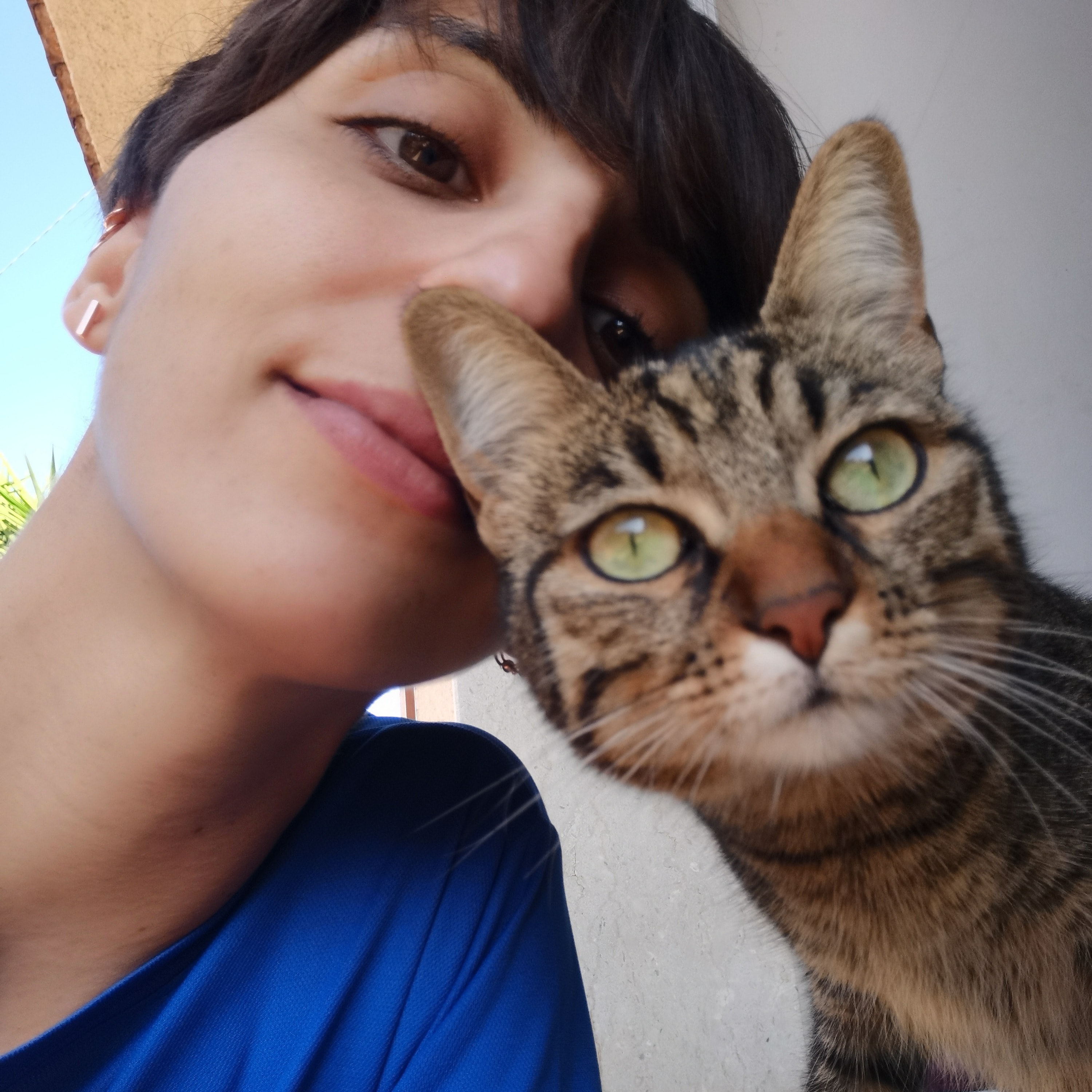 Teti