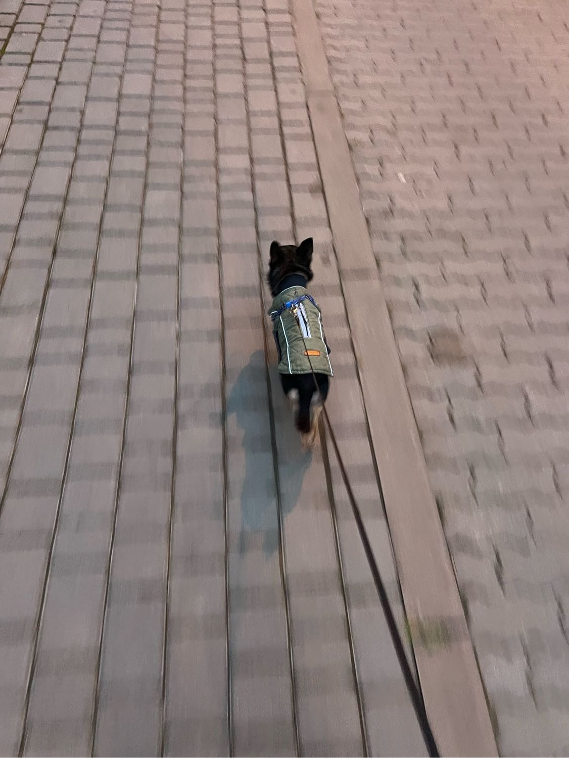image-7