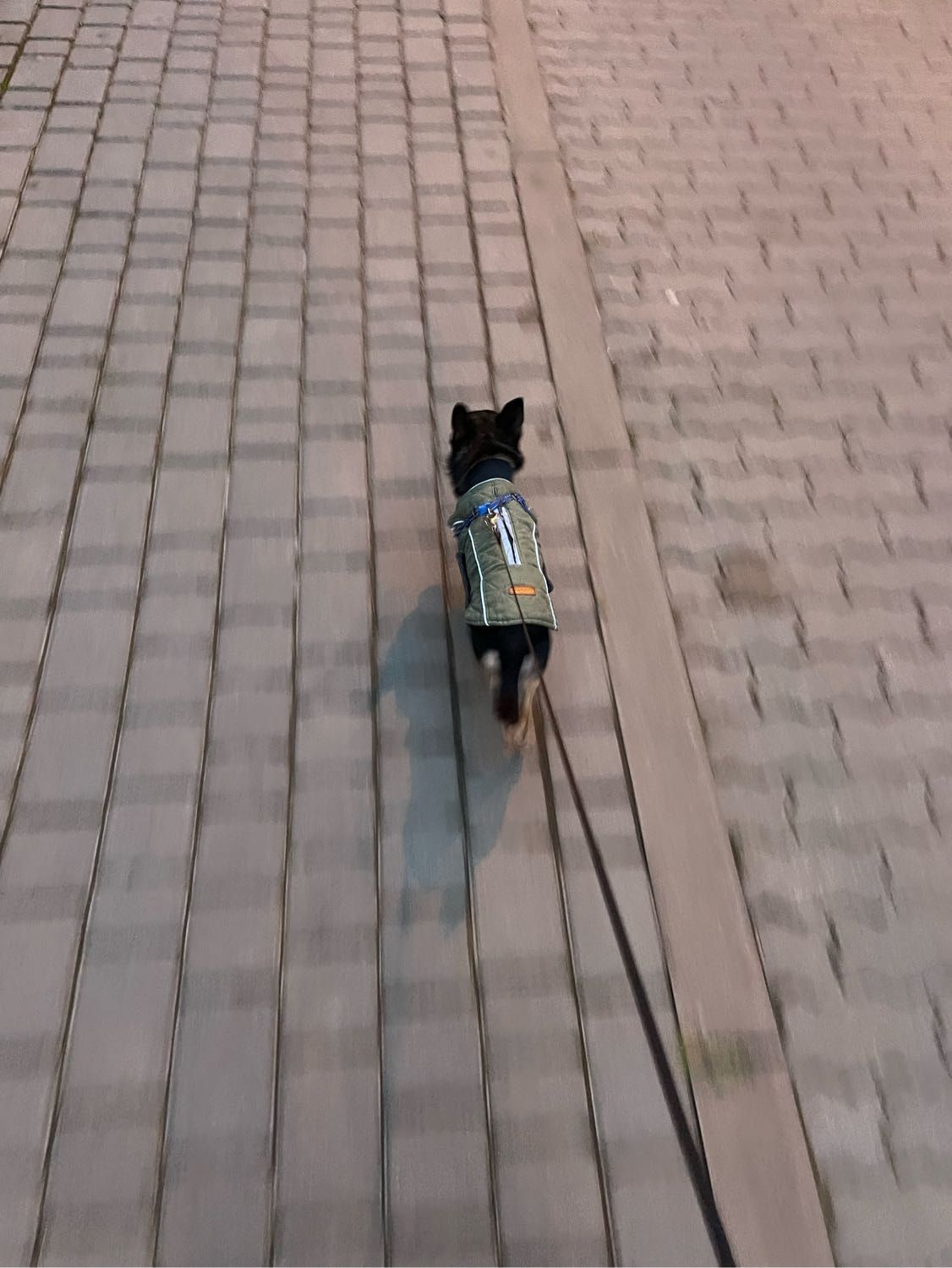 image-7