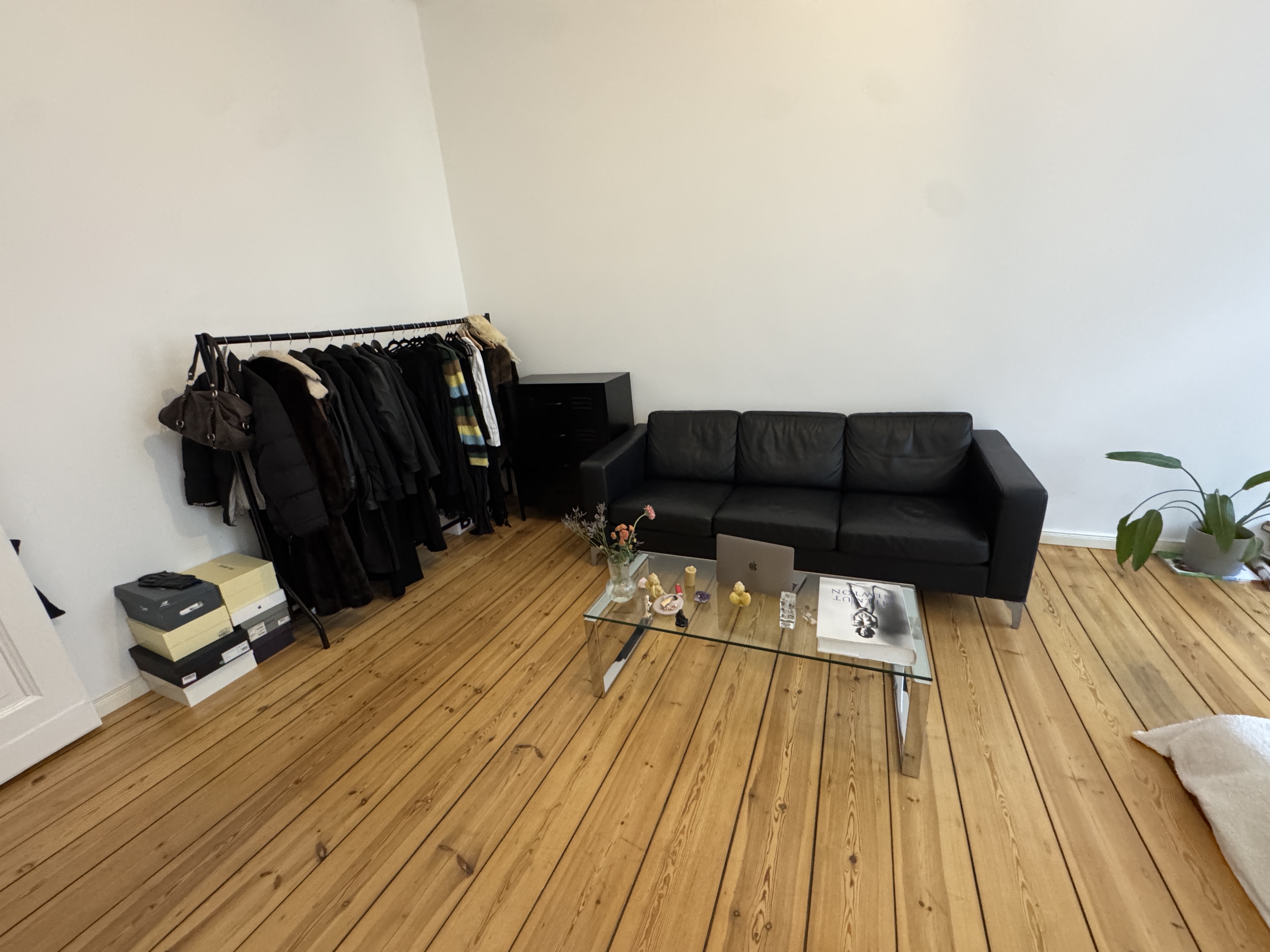 image-19