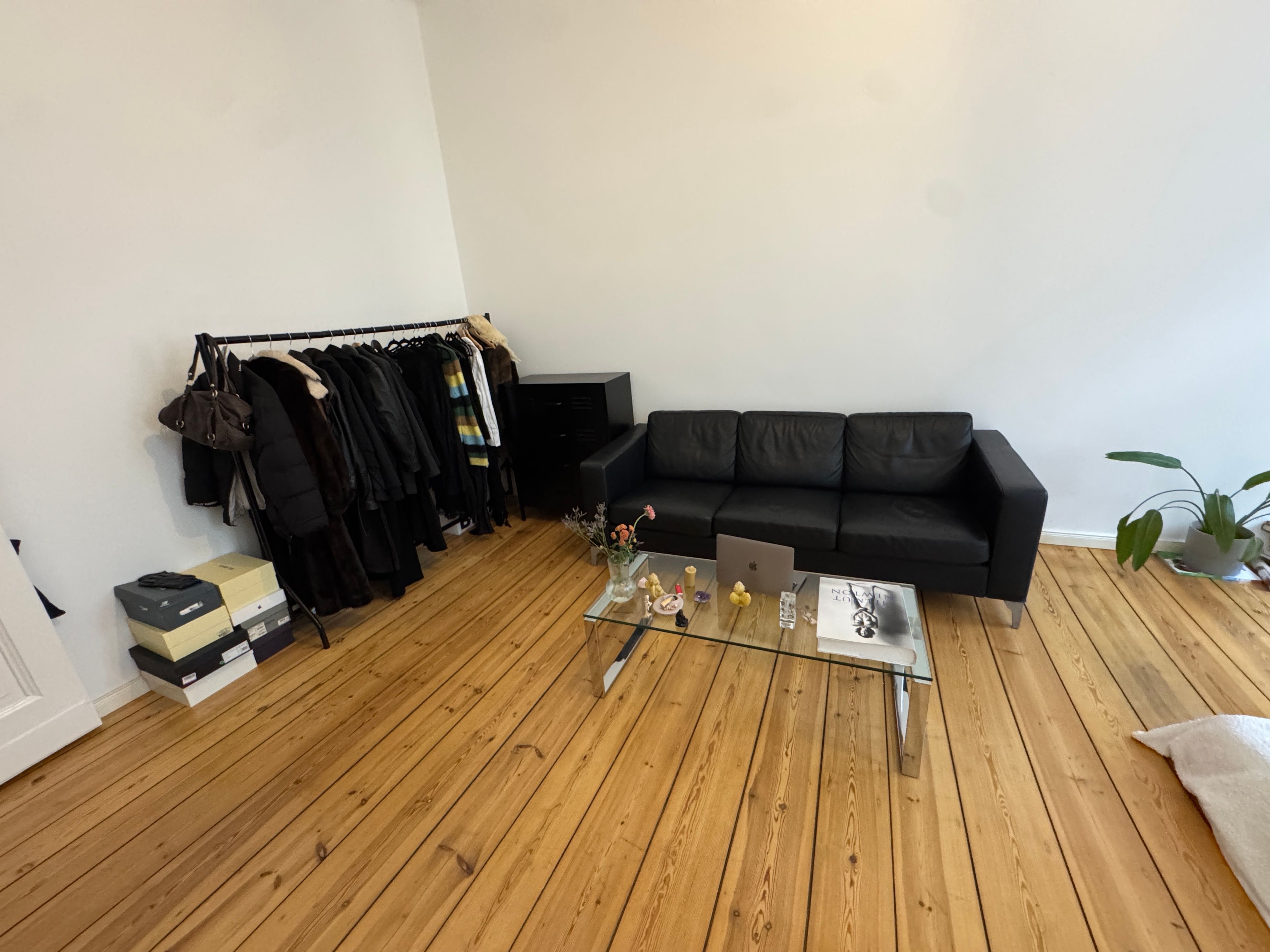 image-19