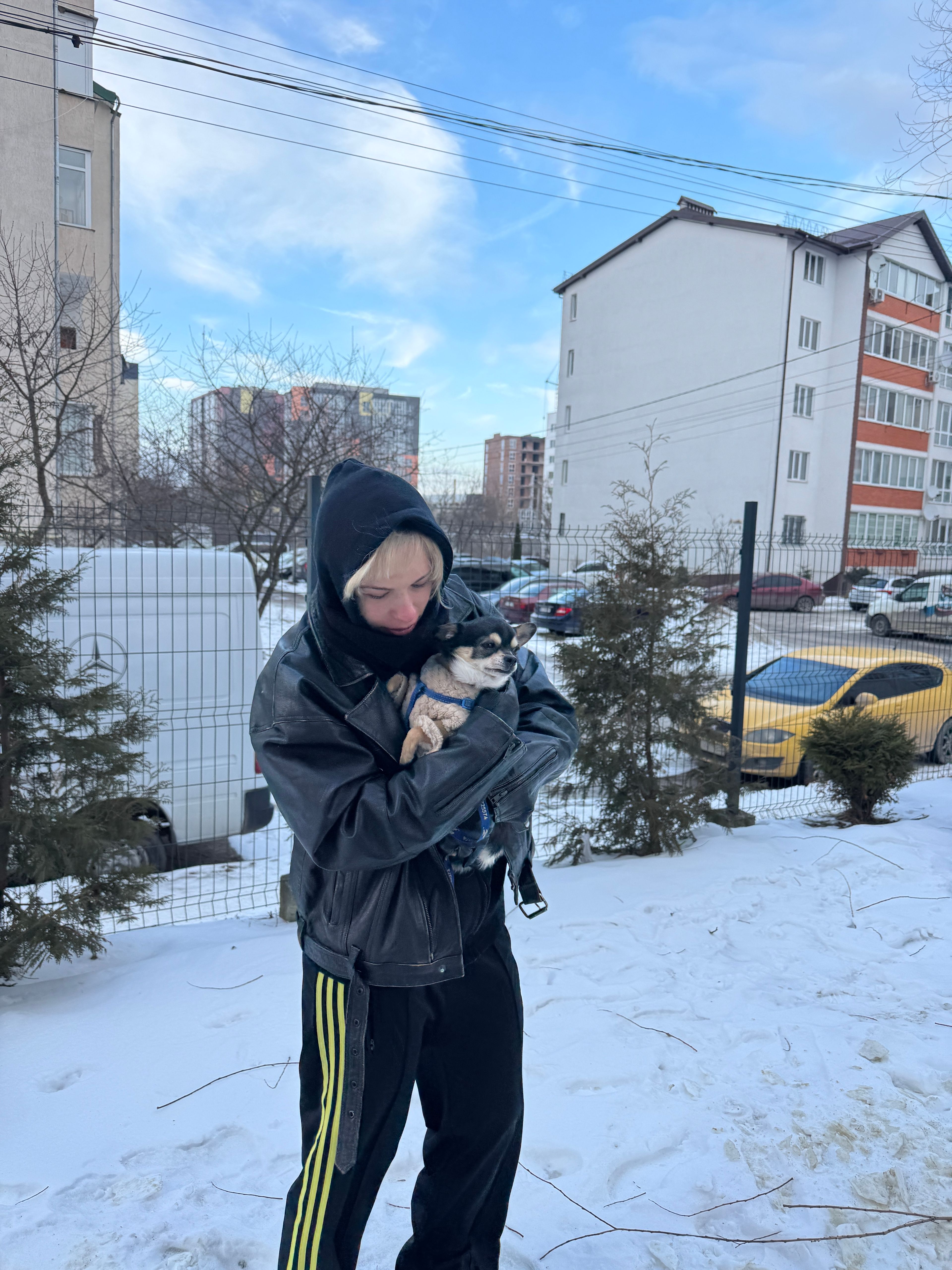 image-9