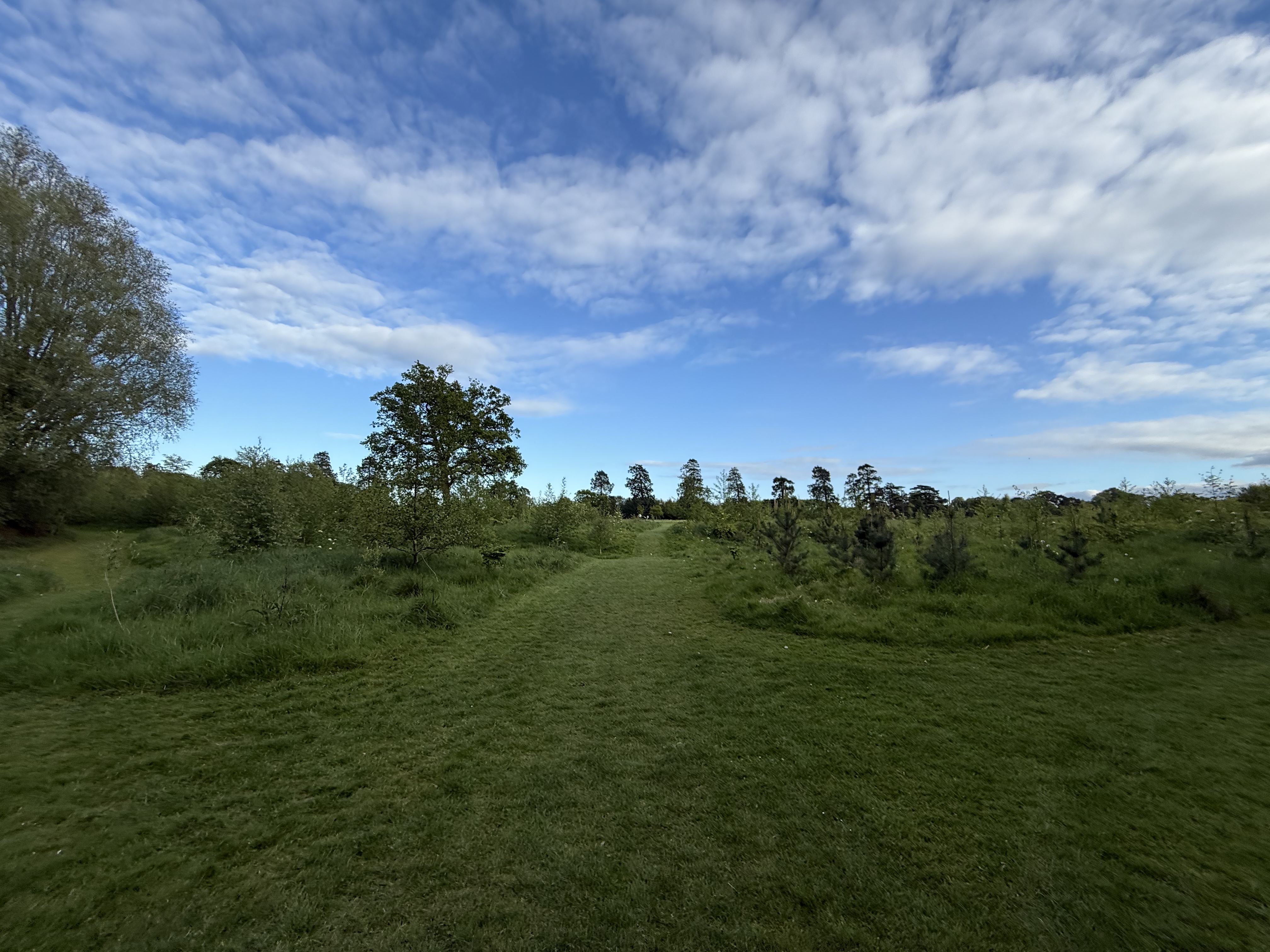 image-39