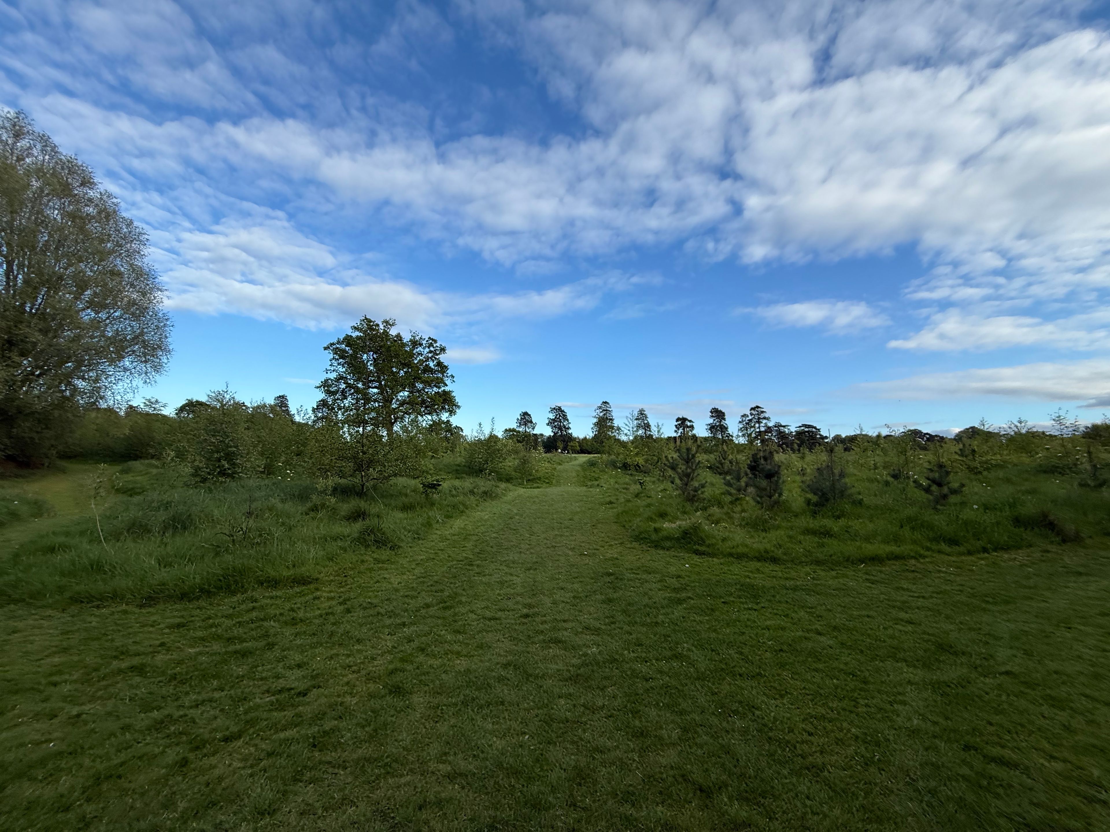 image-39