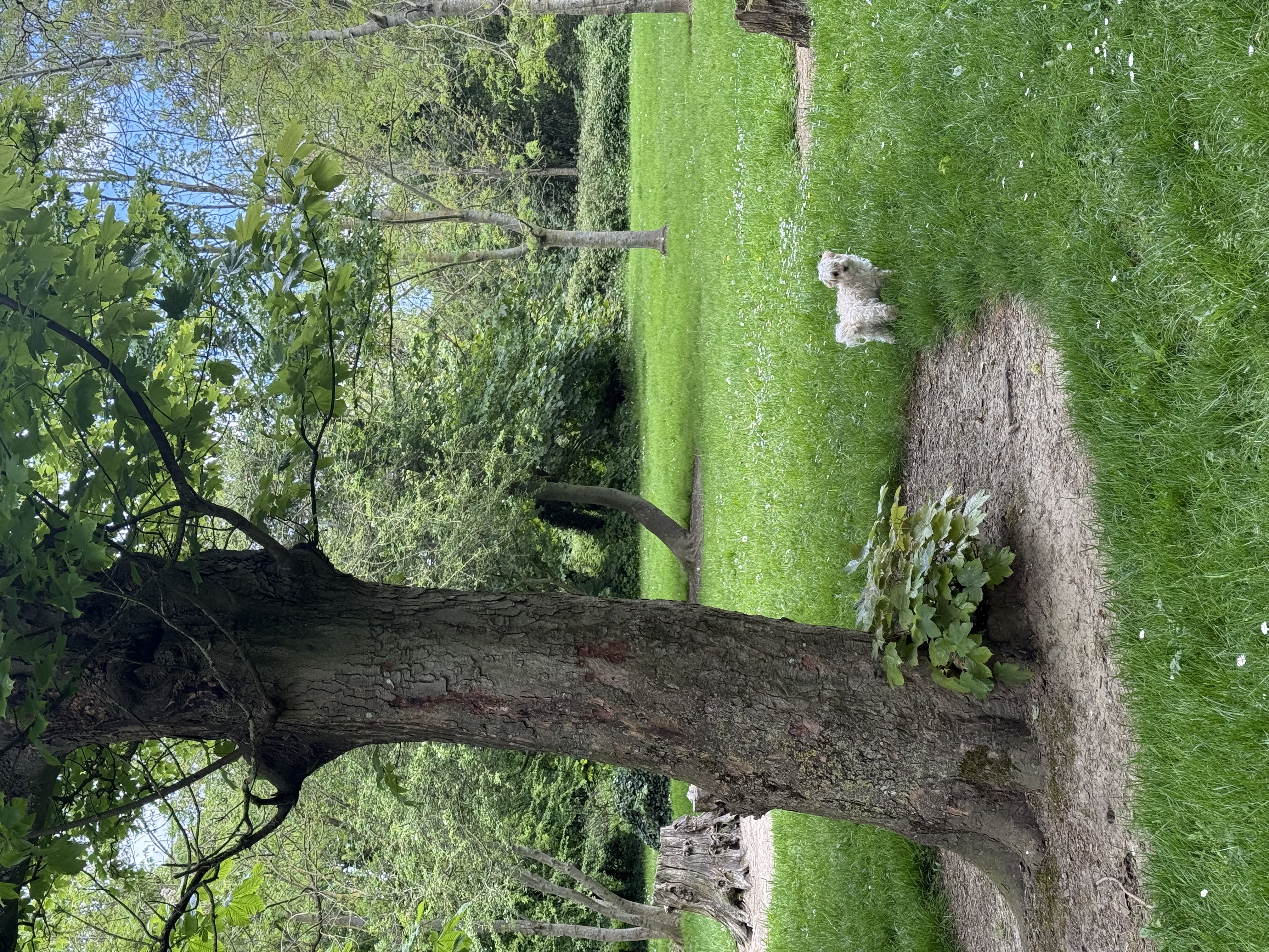 image-42