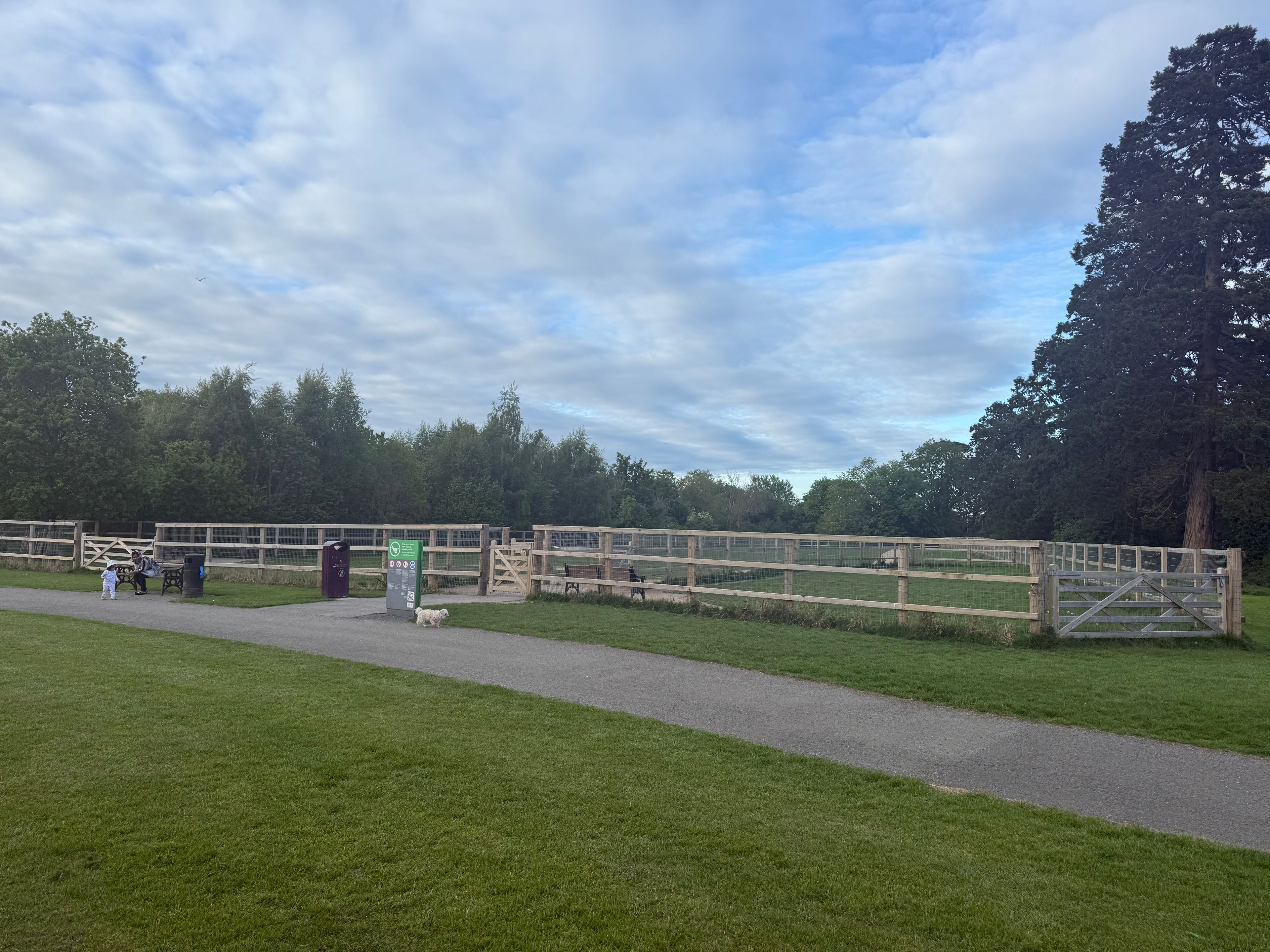 image-45