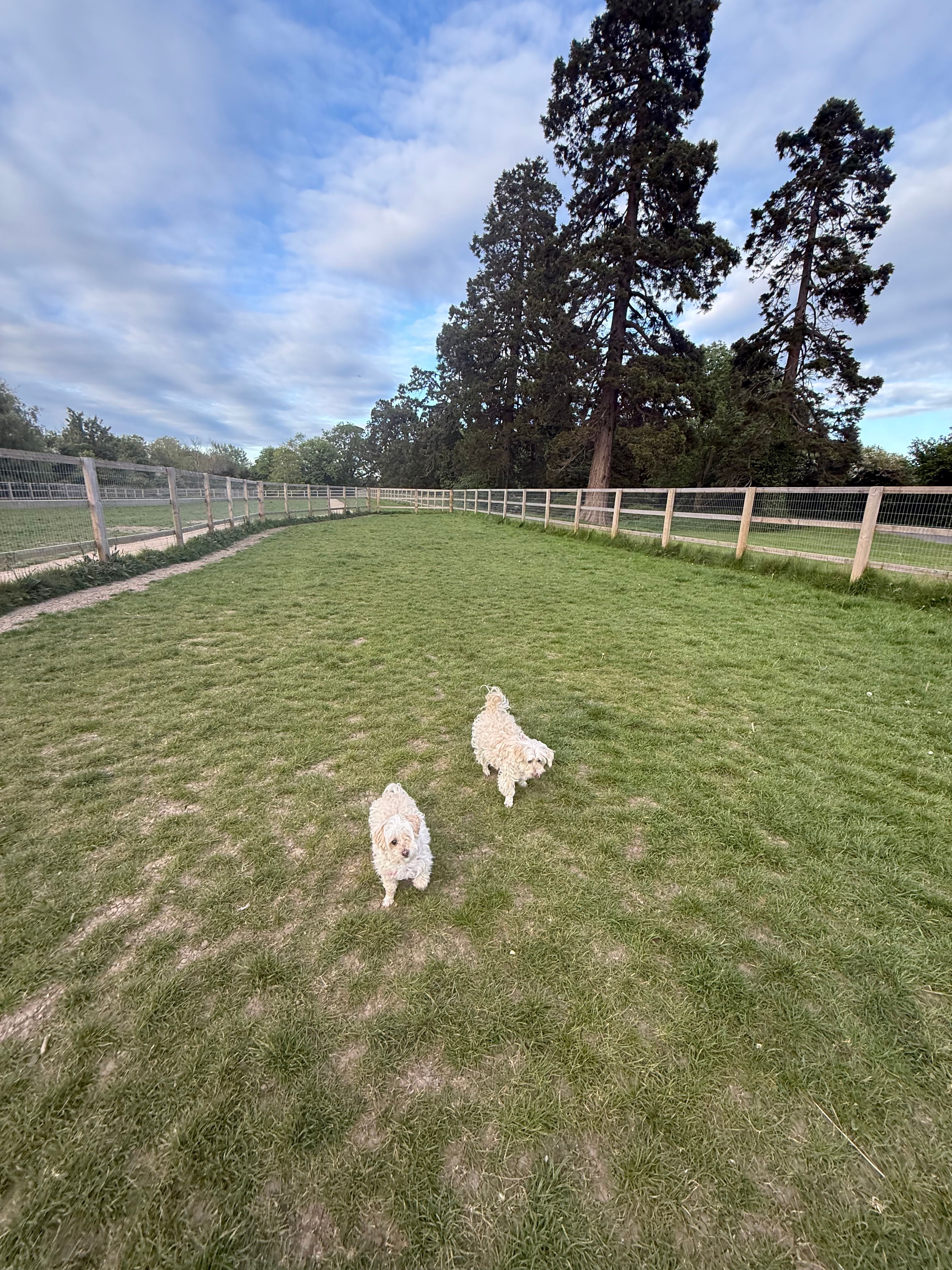image-43