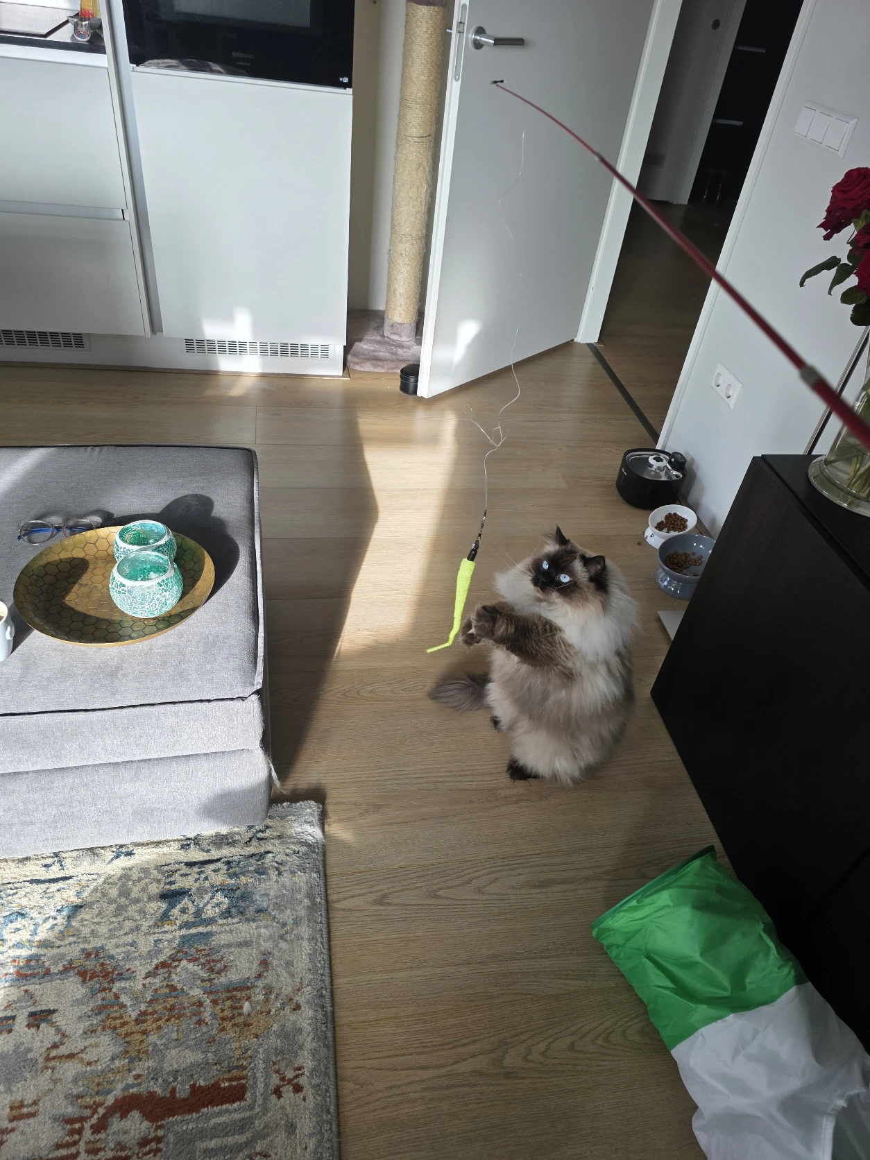 image-8
