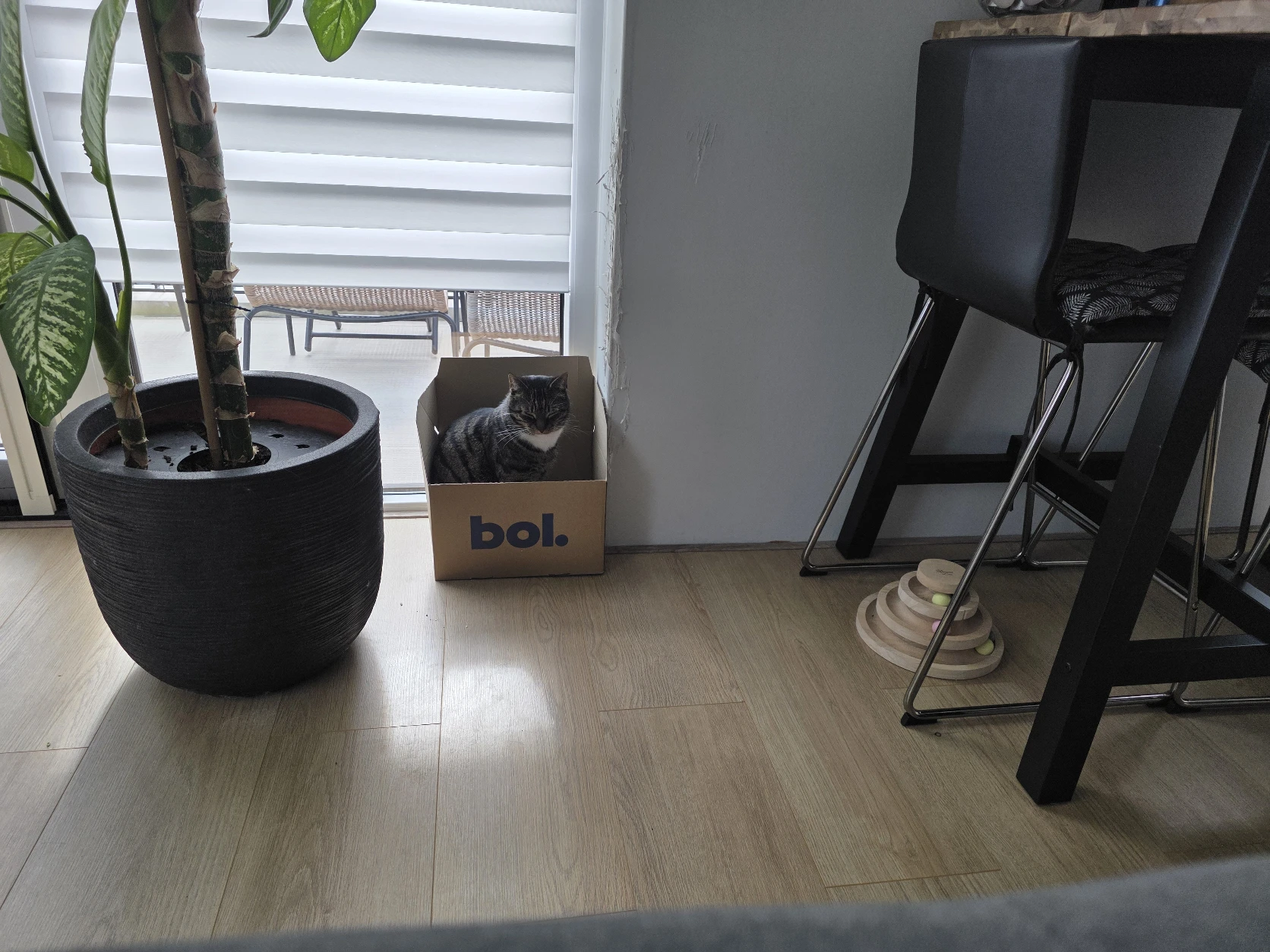 image-14