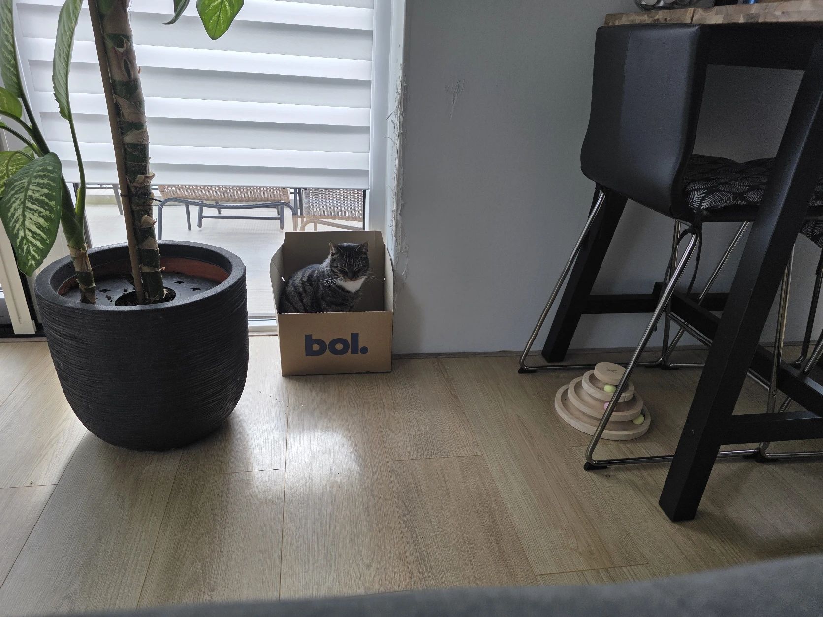 image-14