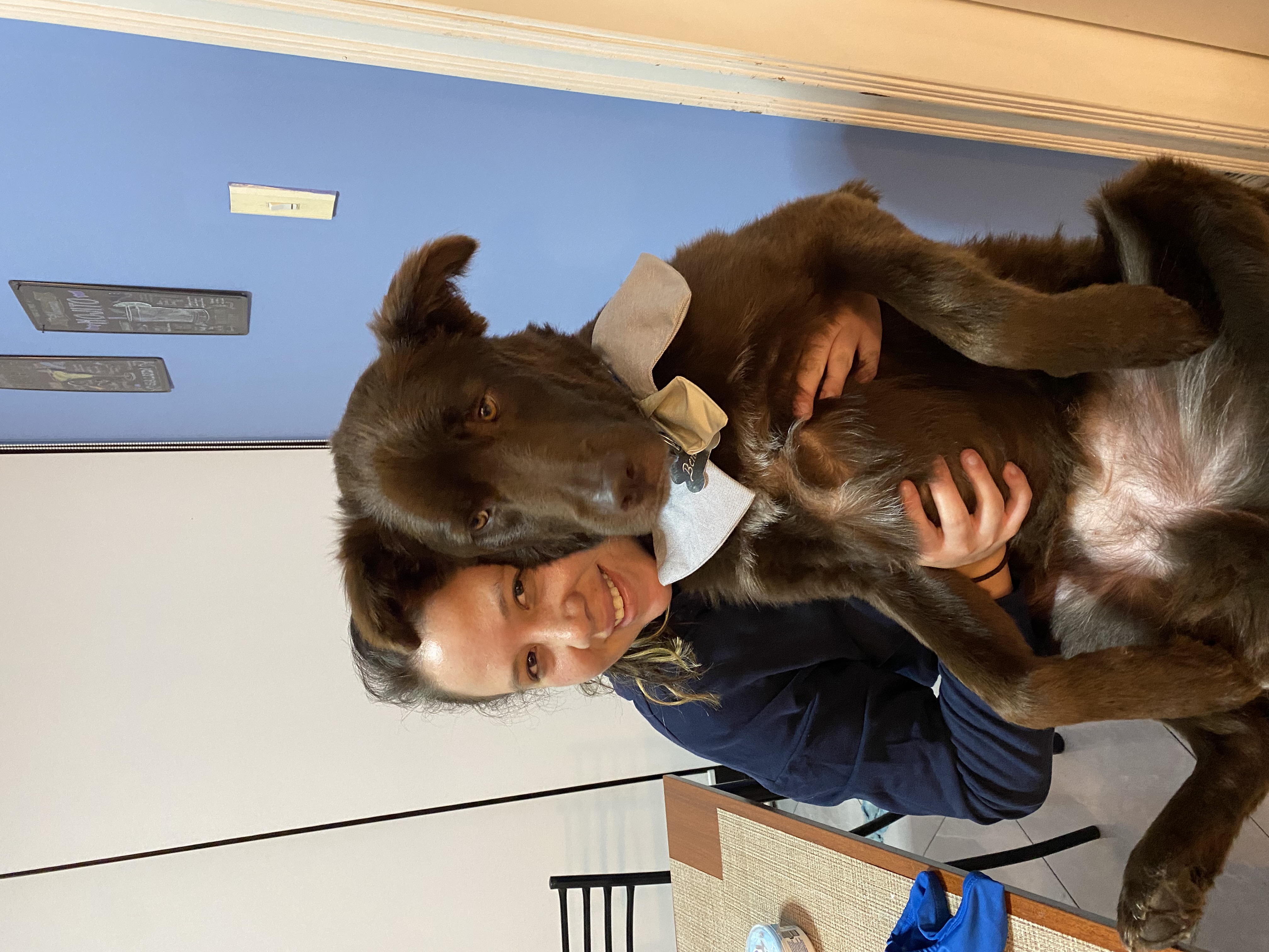 image-2
