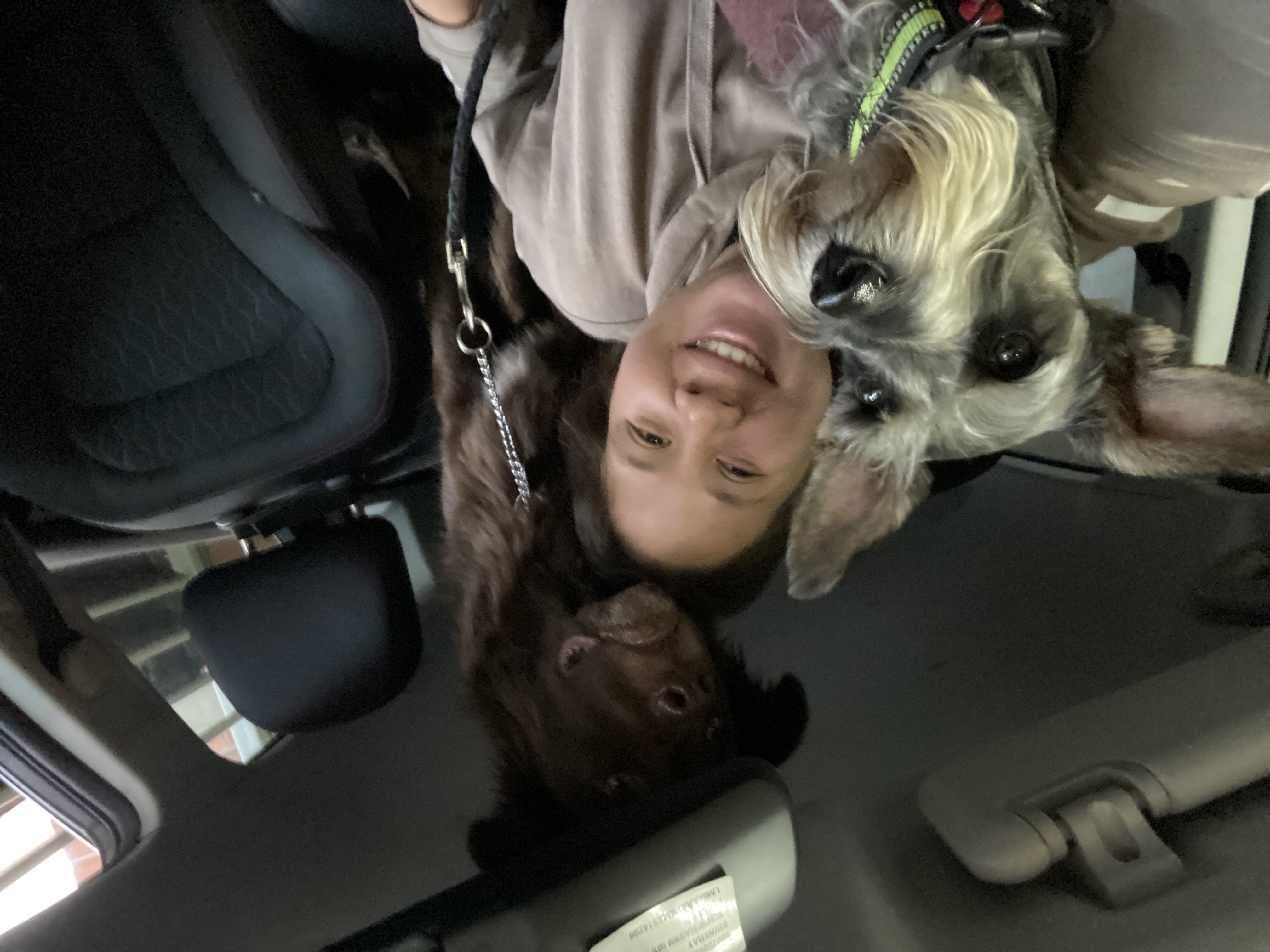 image-6