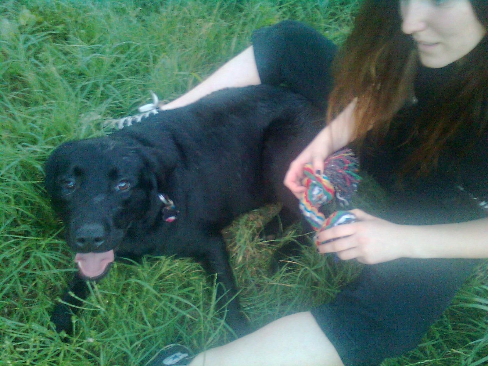 image-8