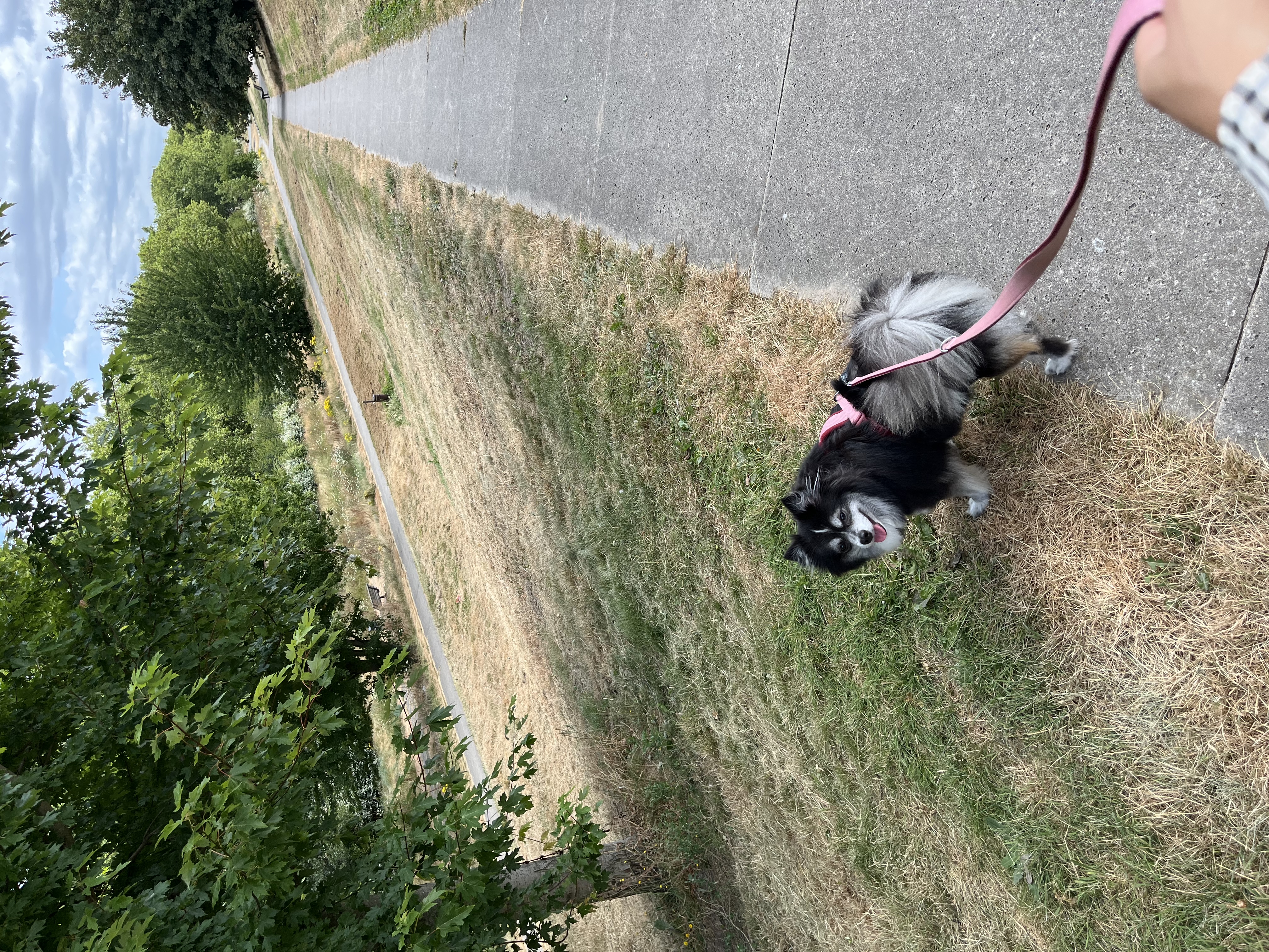 image-6