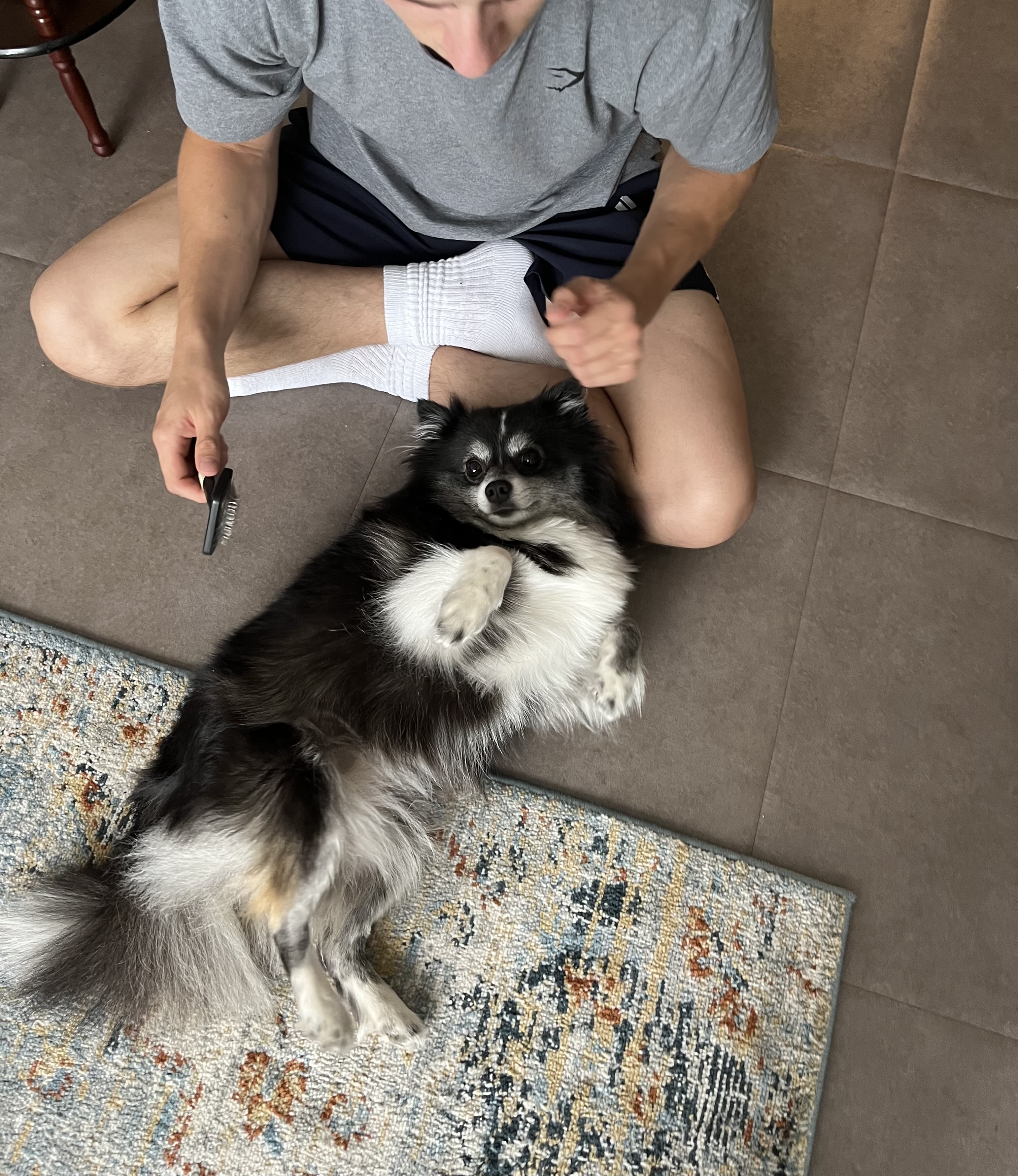image-14
