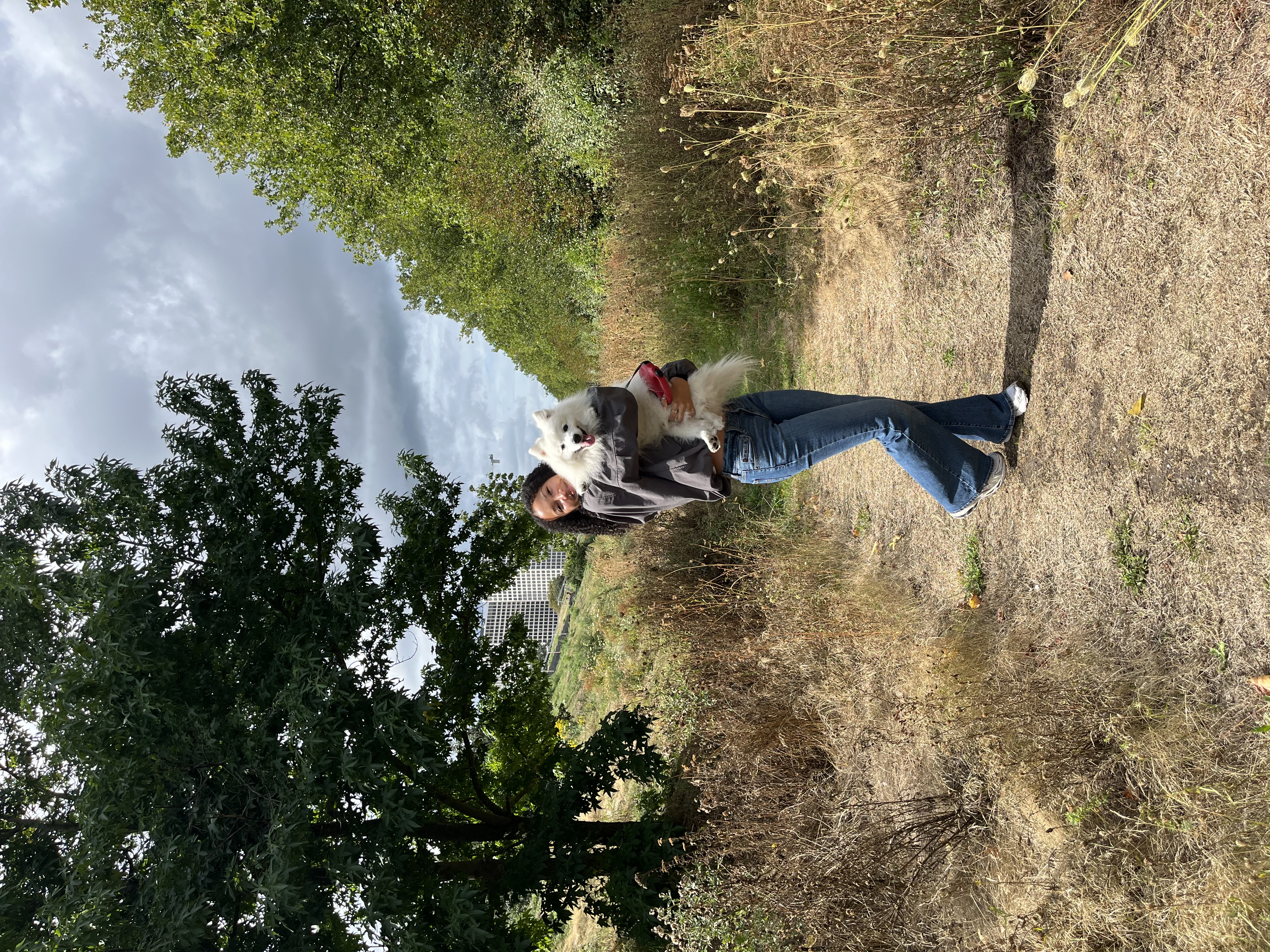 image-0