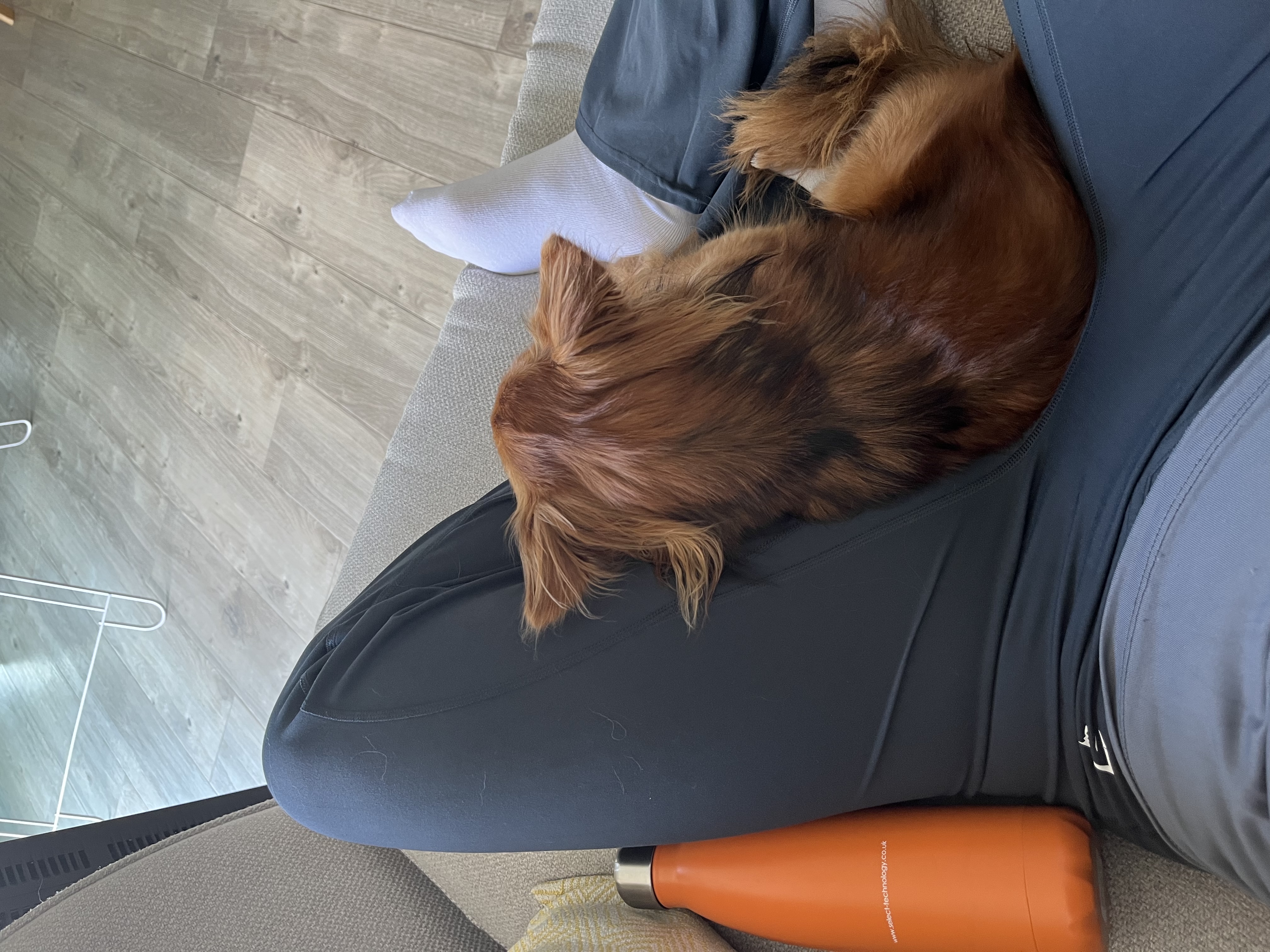 image-5