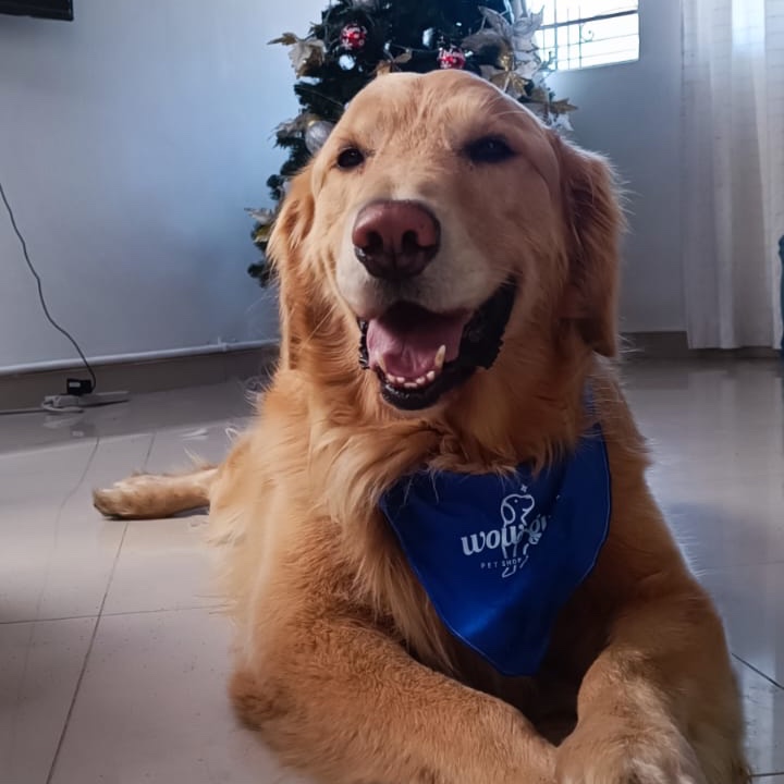 Sam