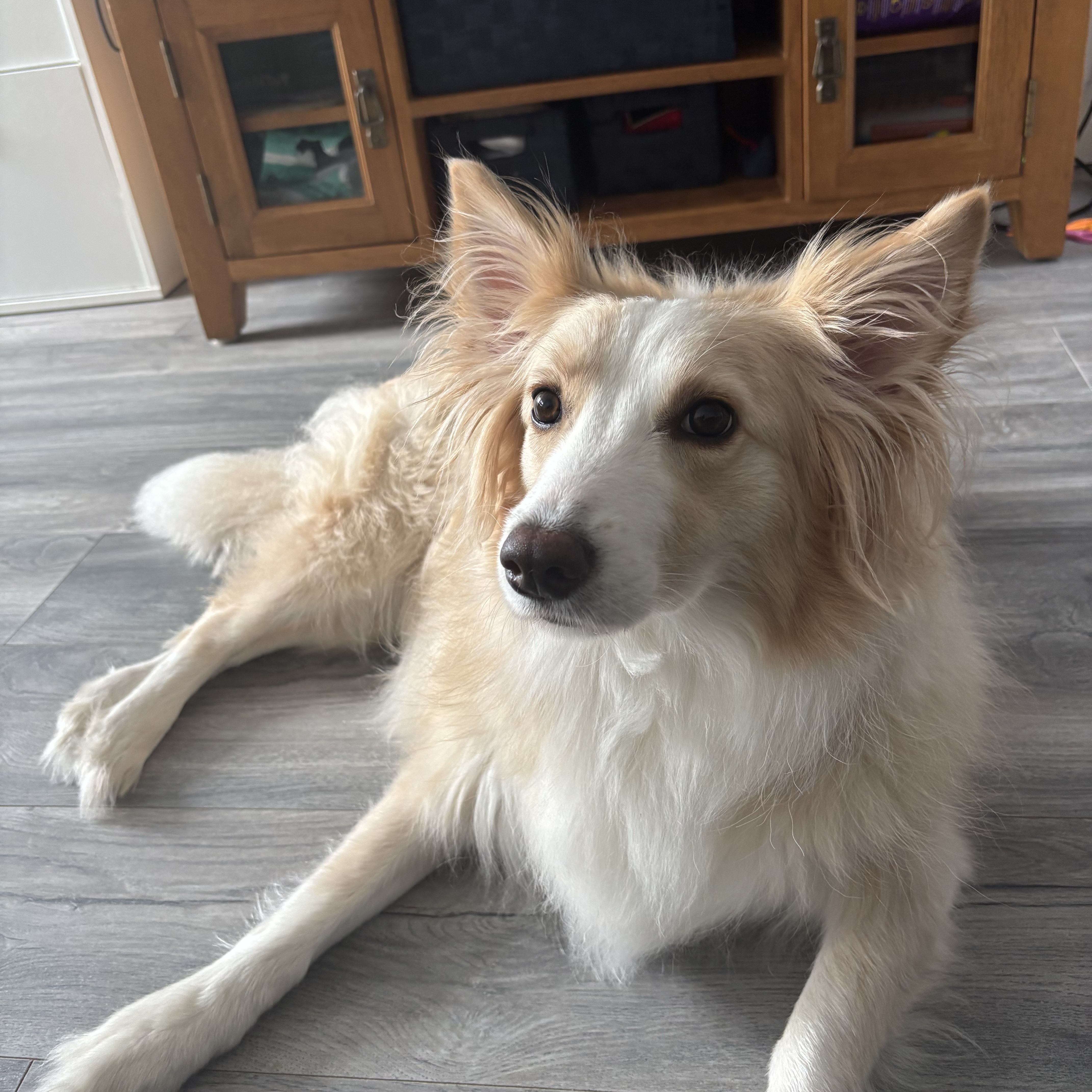 Nala