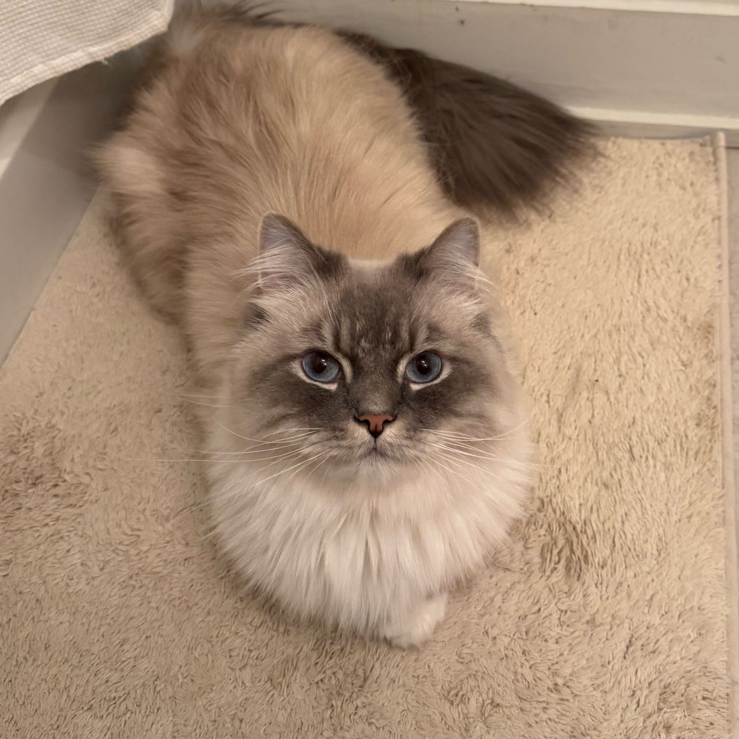 George