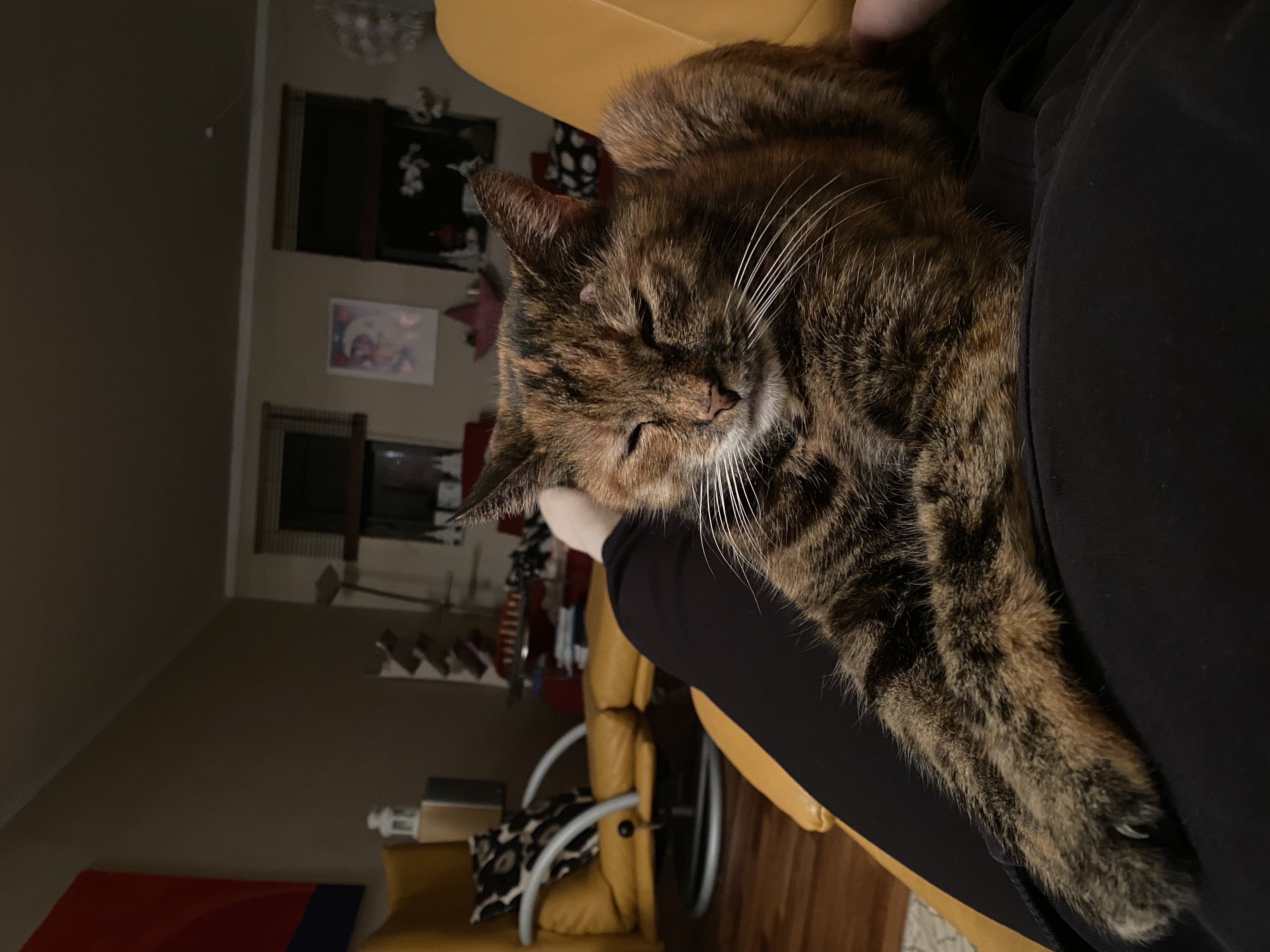 image-9