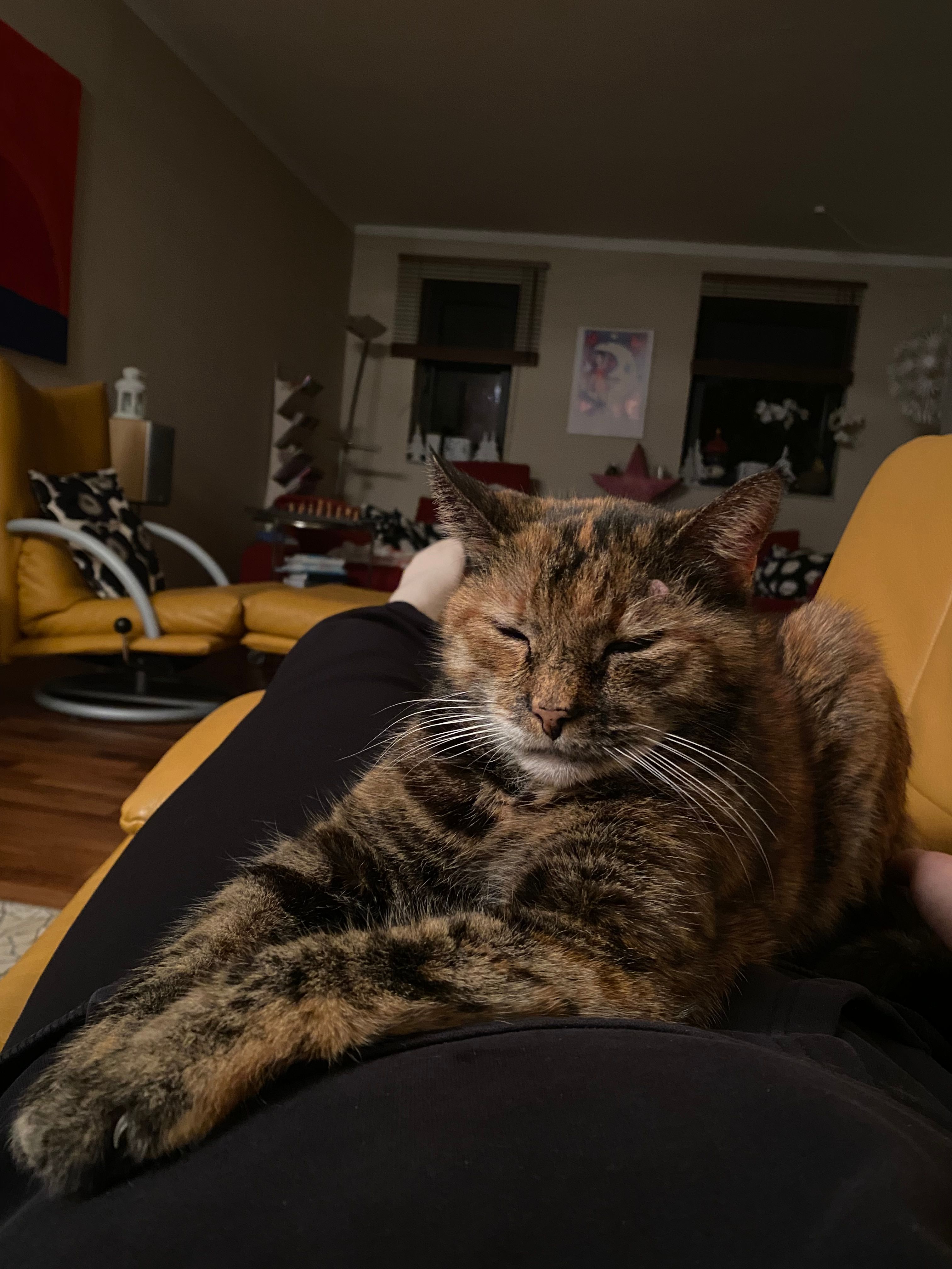 image-9