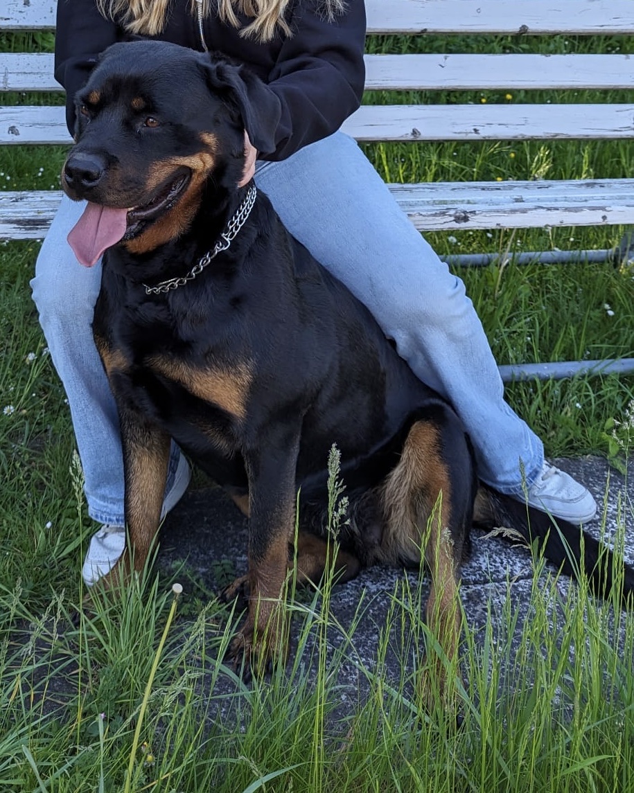 image-8