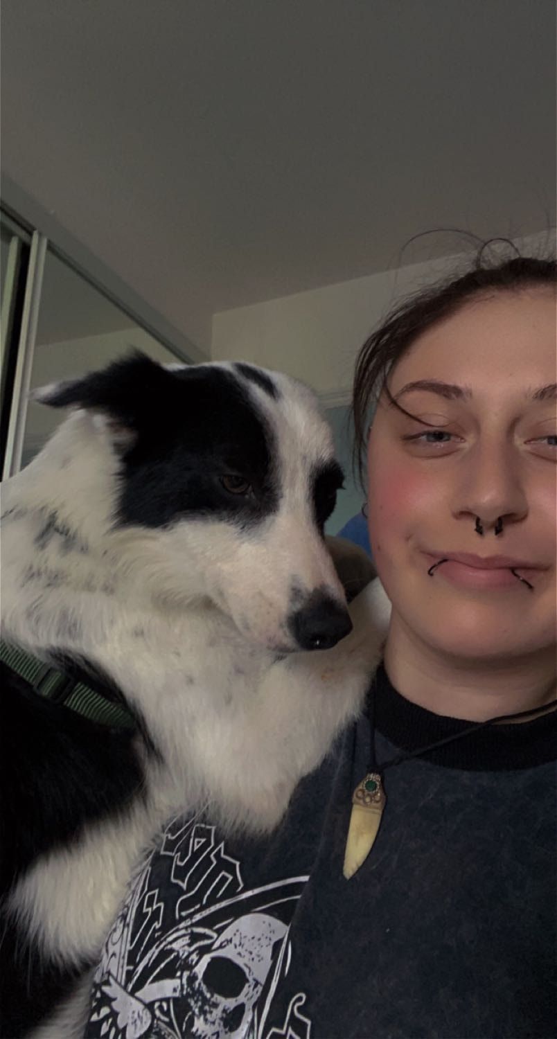 image-9