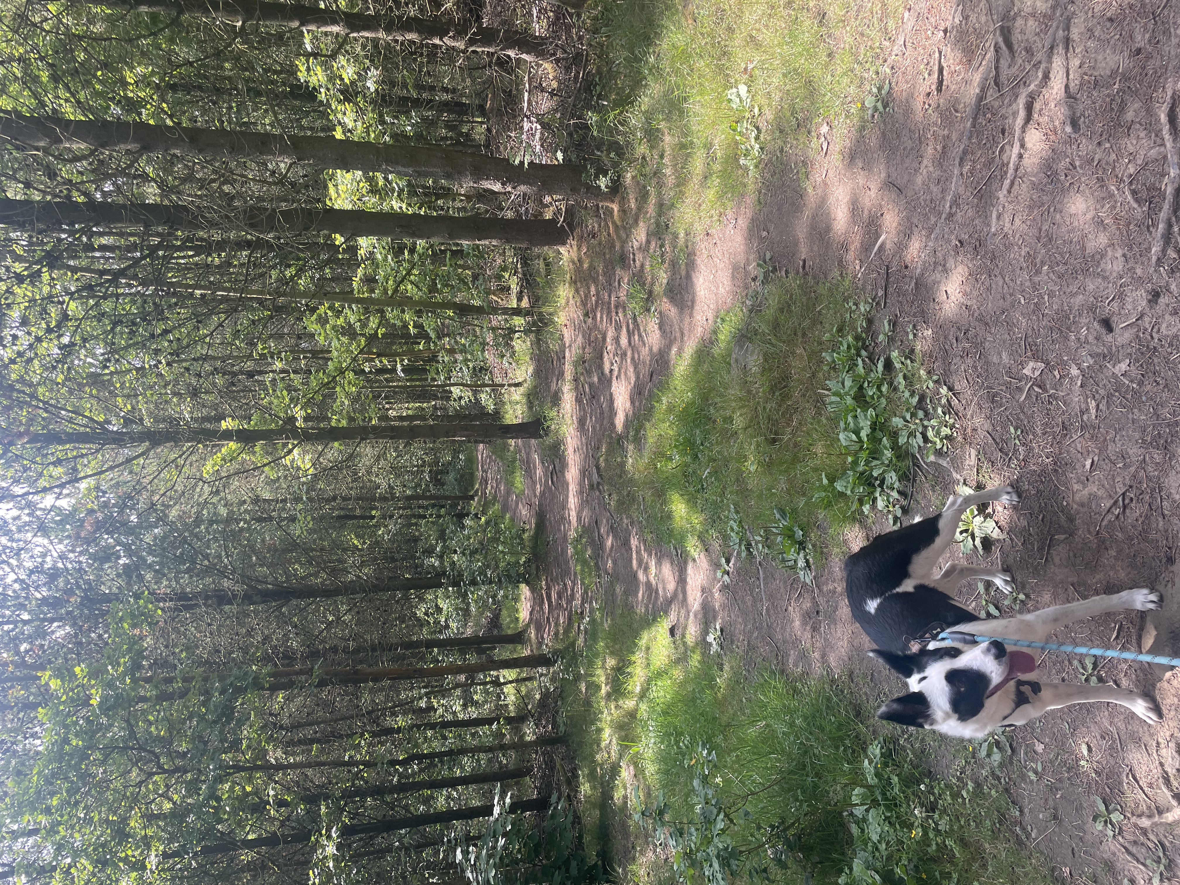 image-15