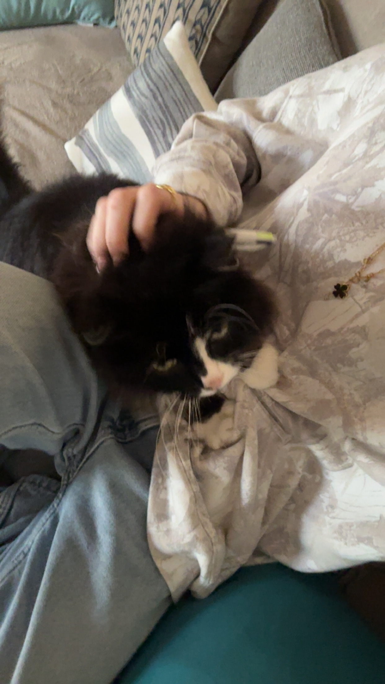 image-8