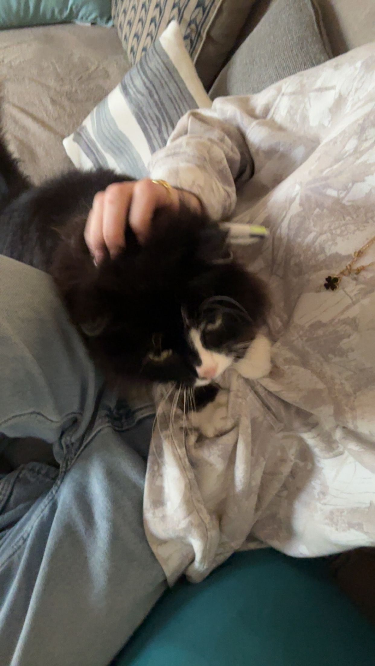 image-8