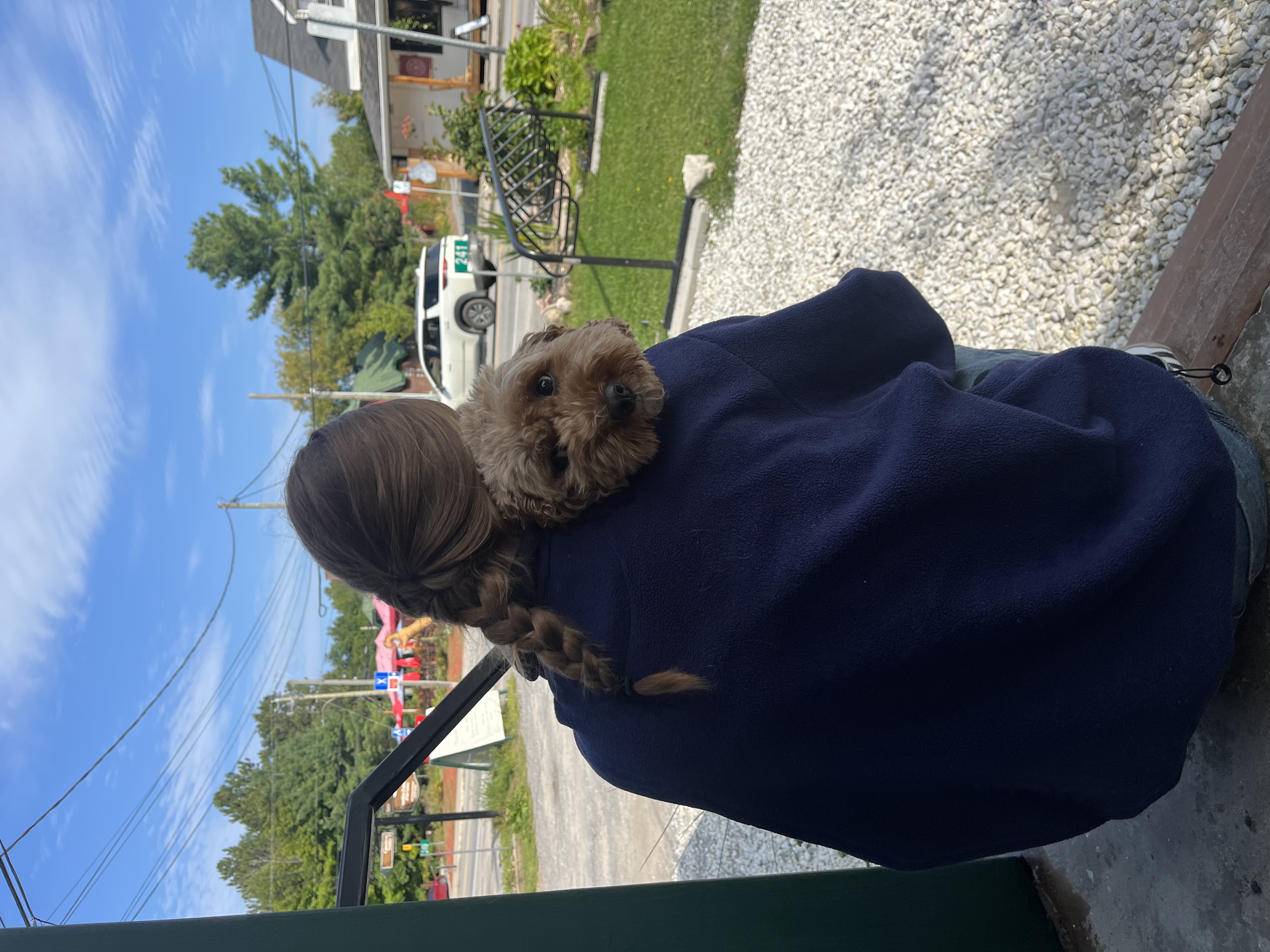 image-5