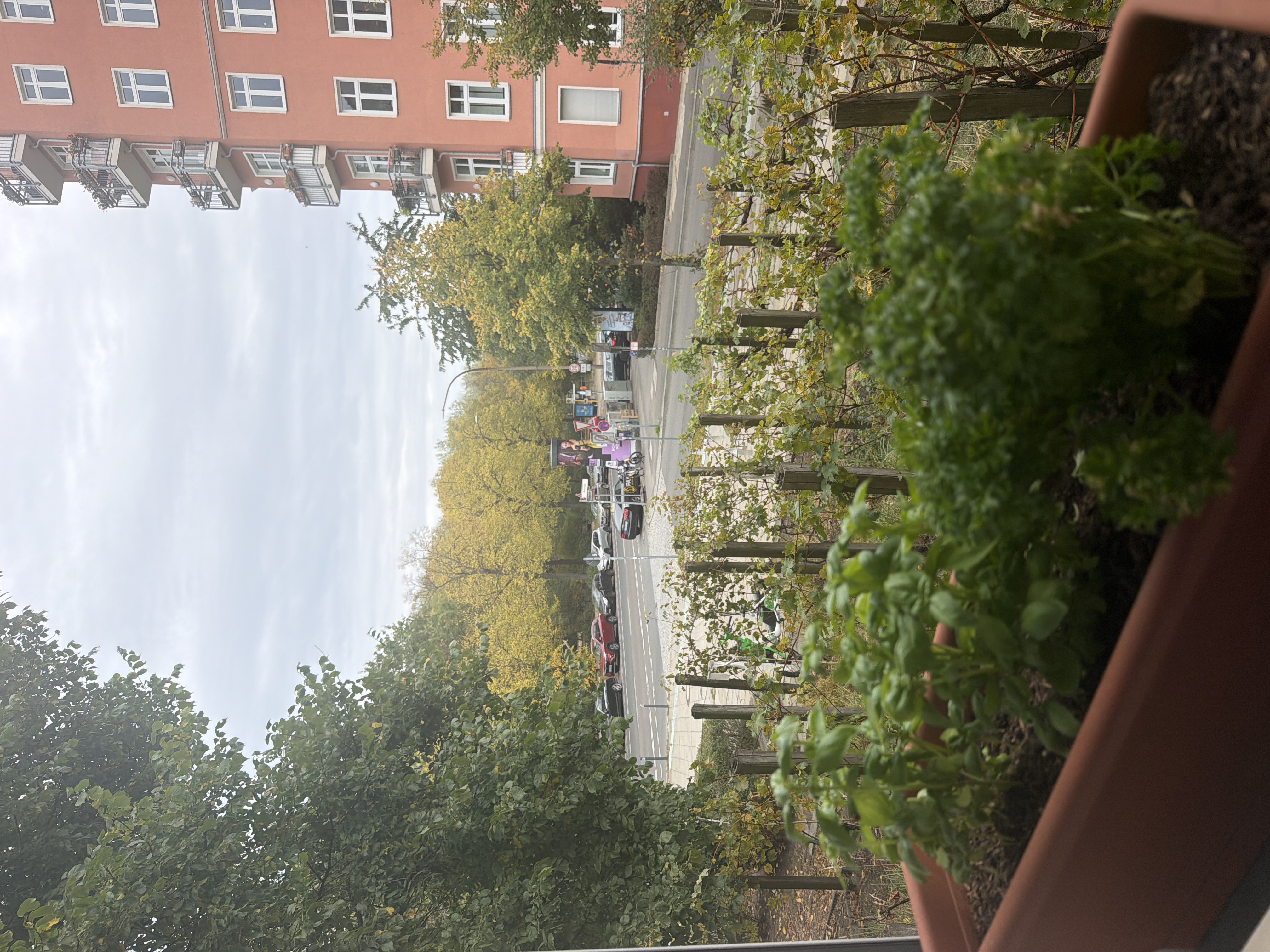 image-19