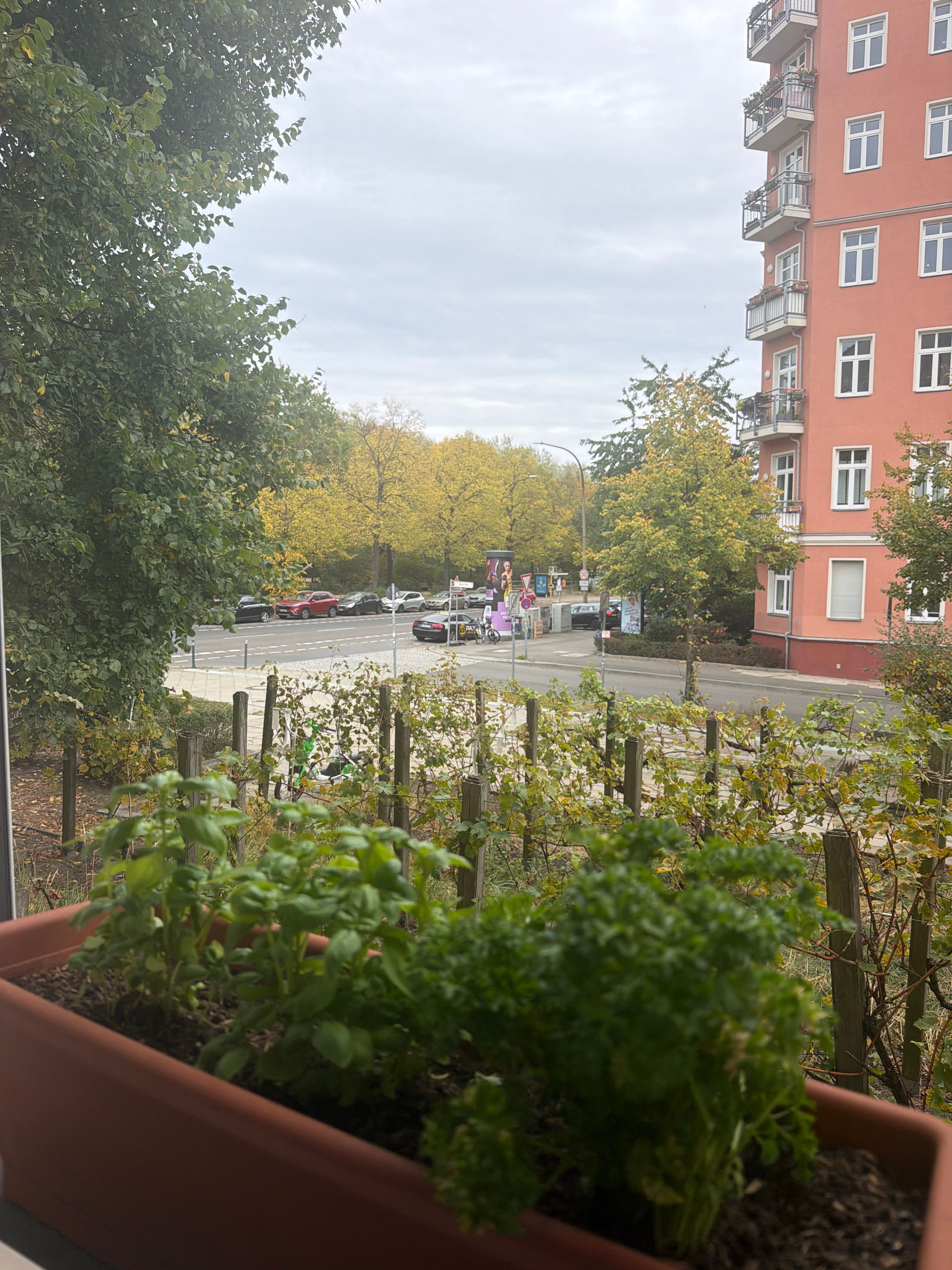 image-19