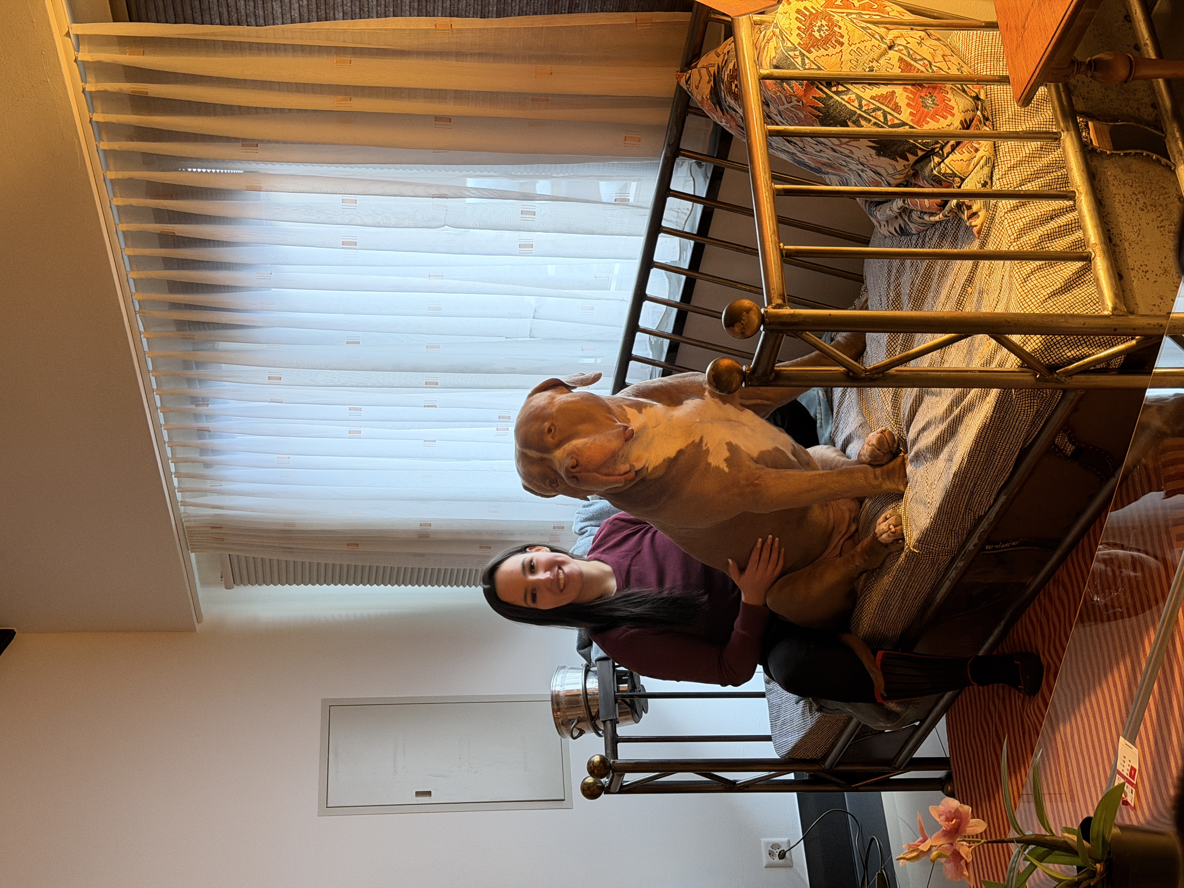 image-1