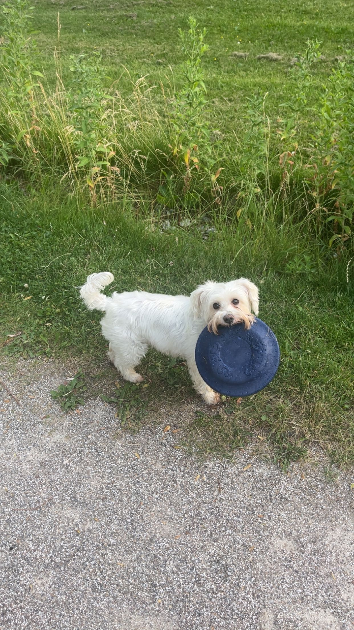 image-6