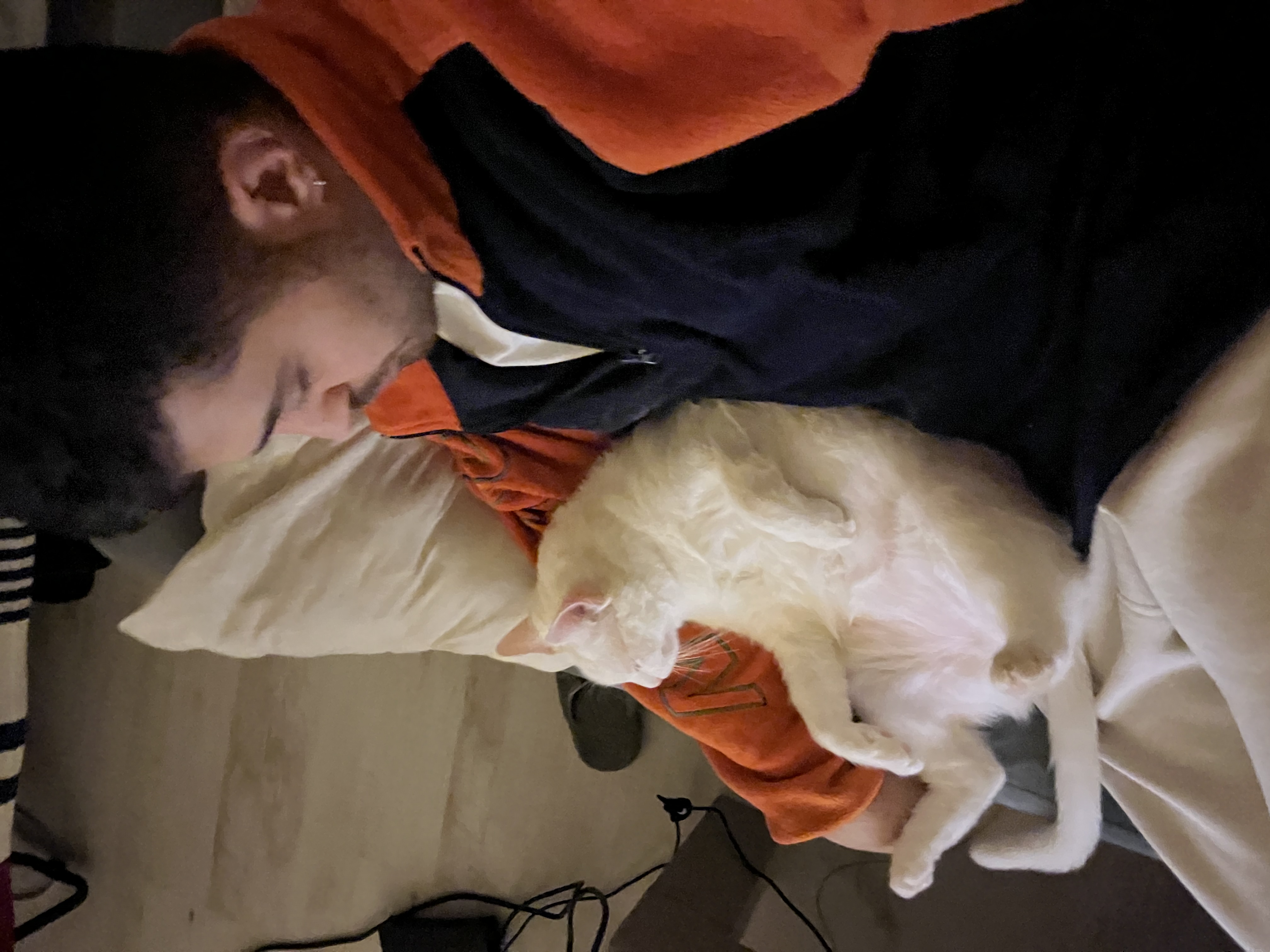 image-12