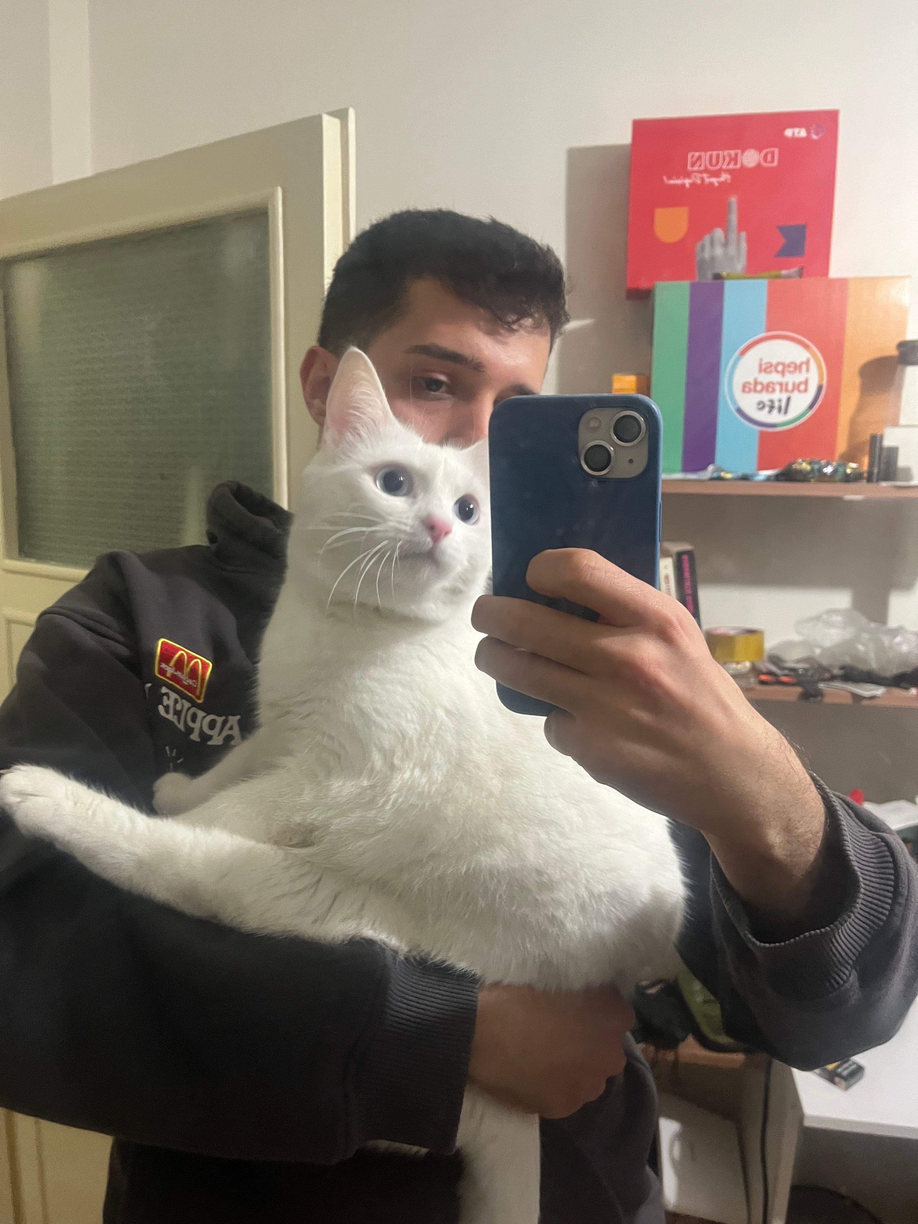 image-6