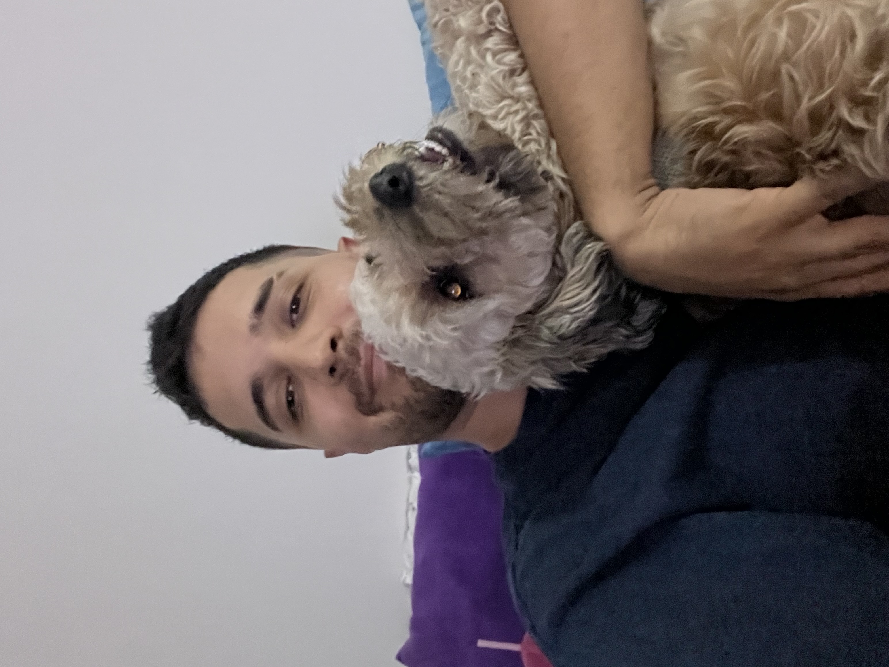 image-5