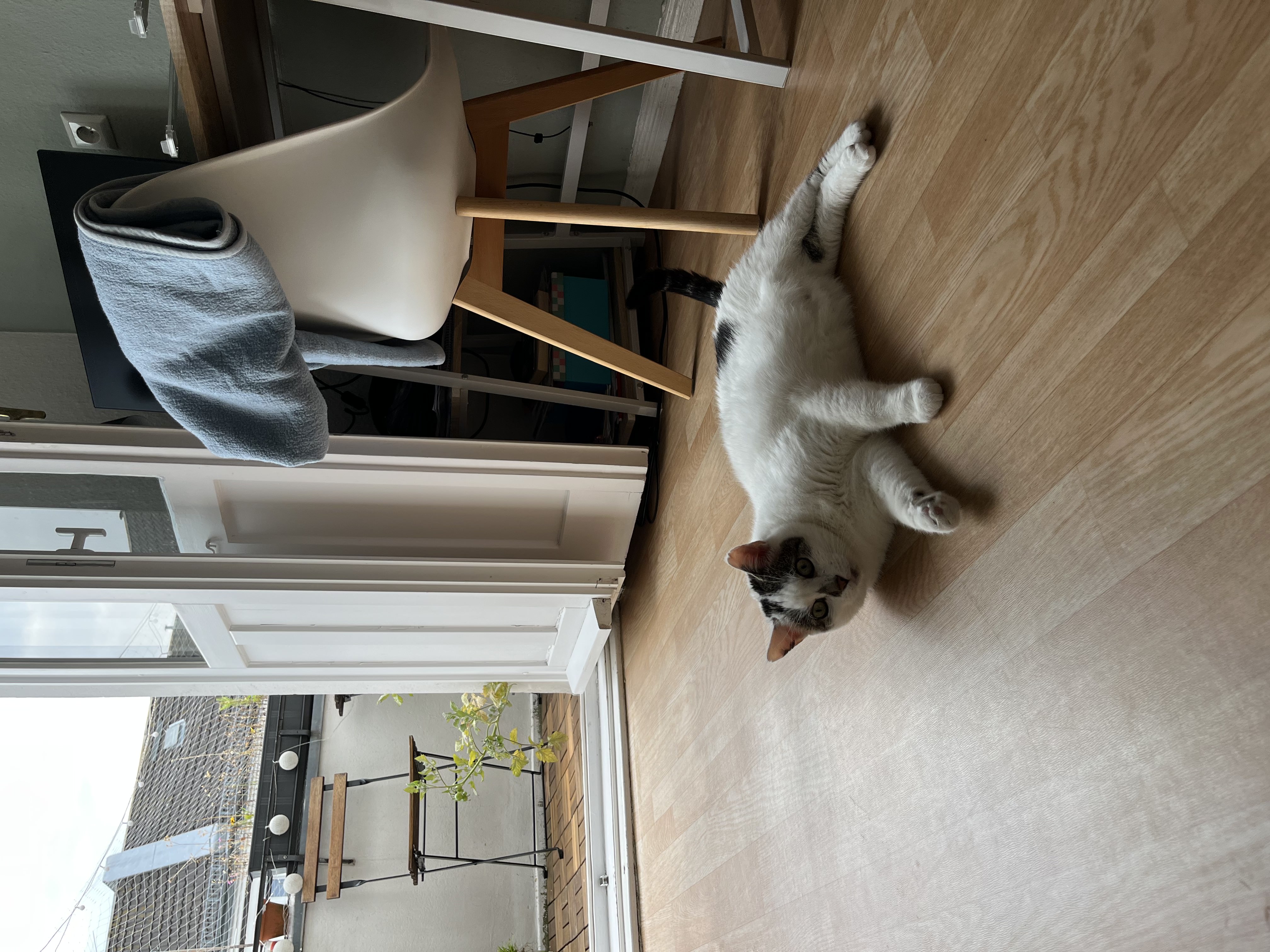 image-15