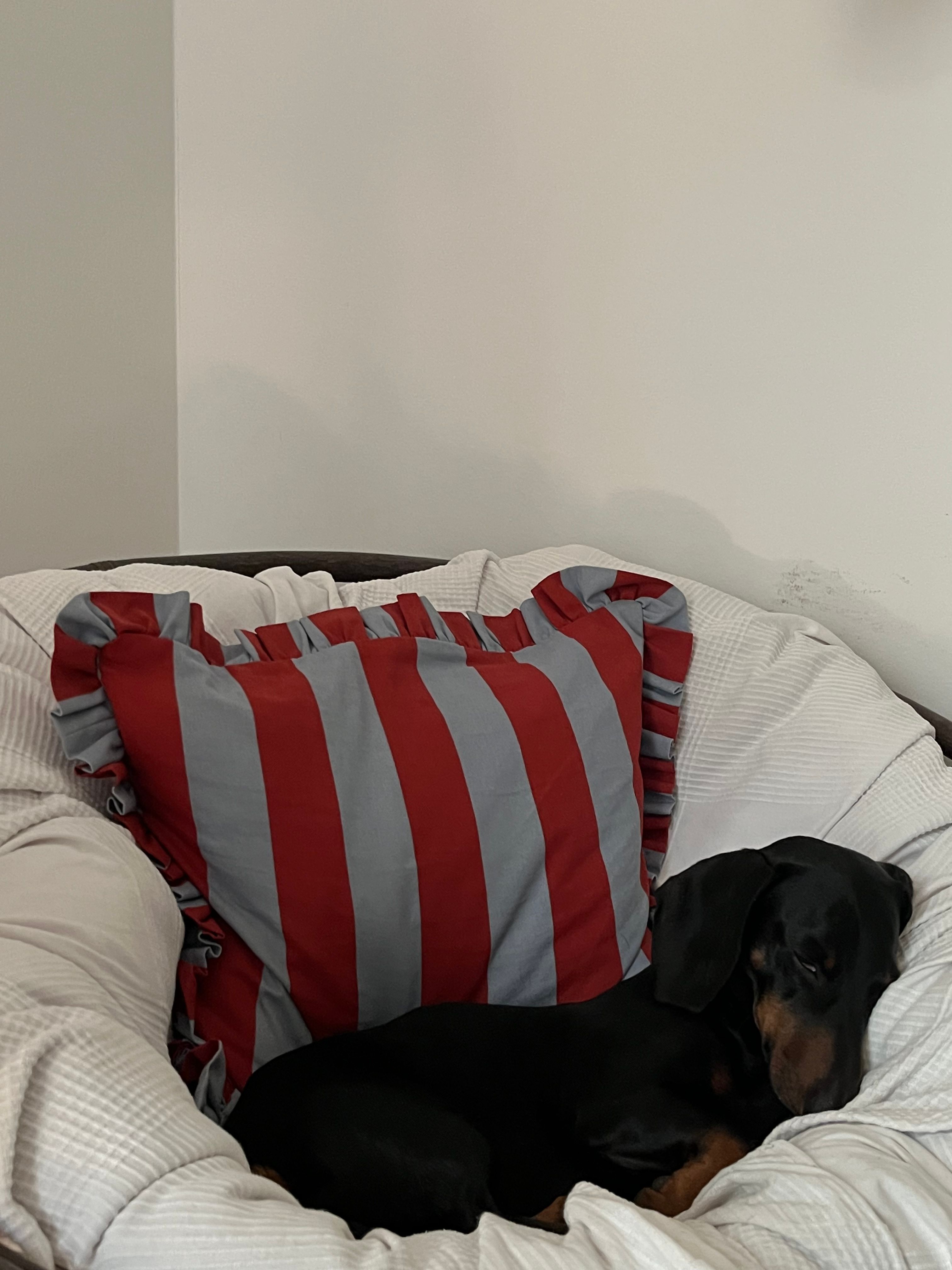 image-7