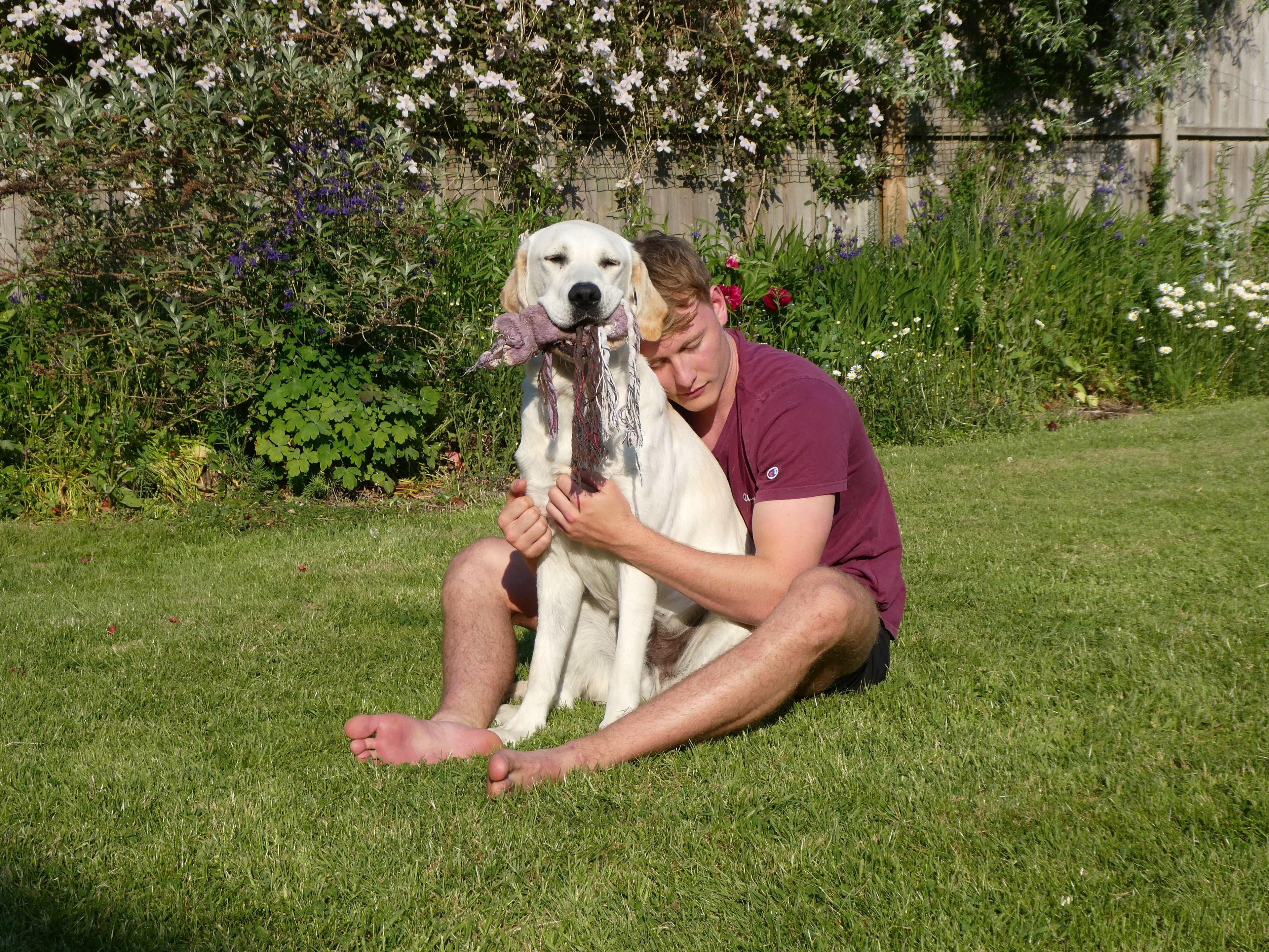 image-8