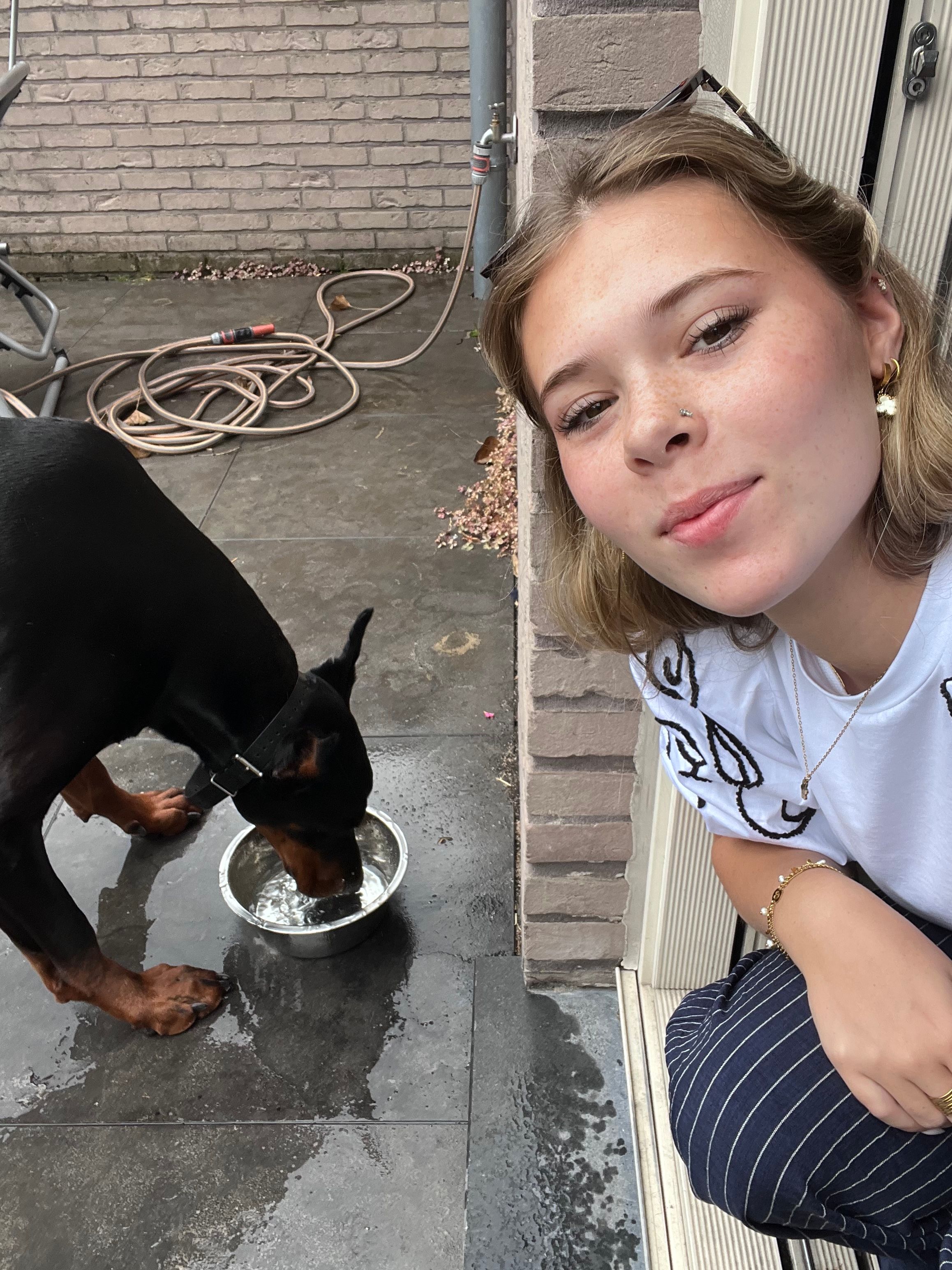 image-11