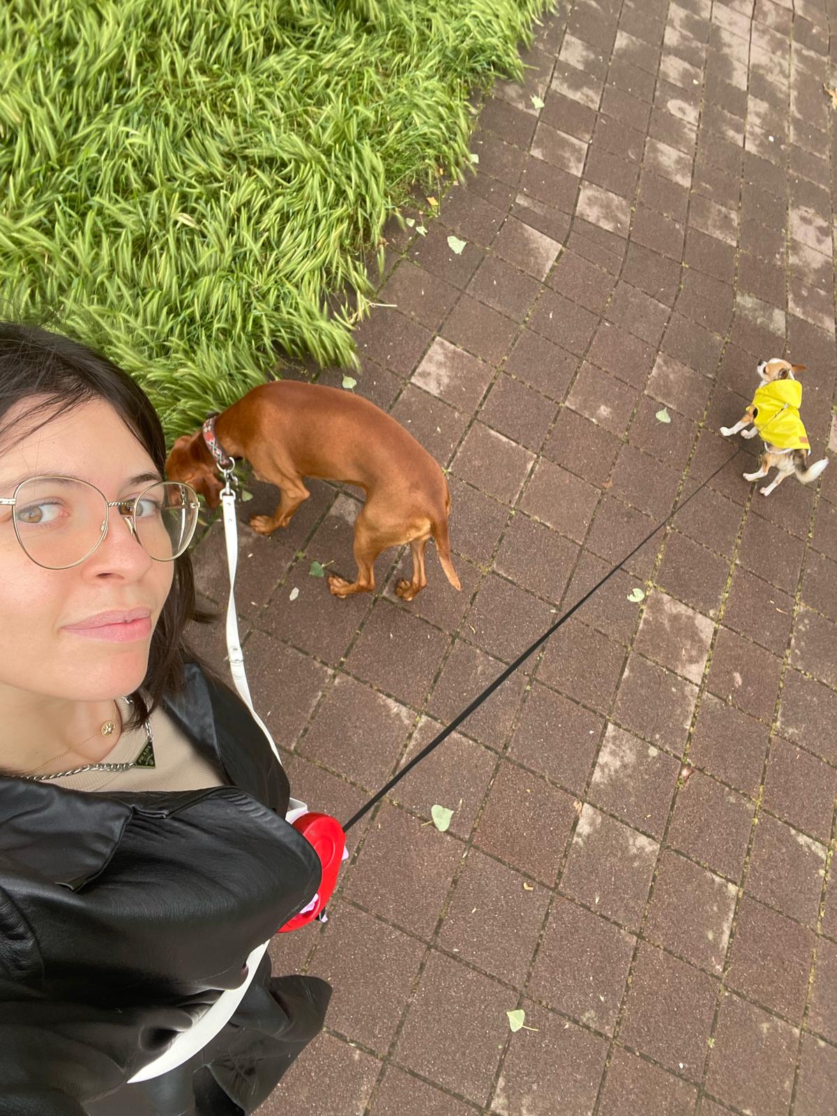 image-3