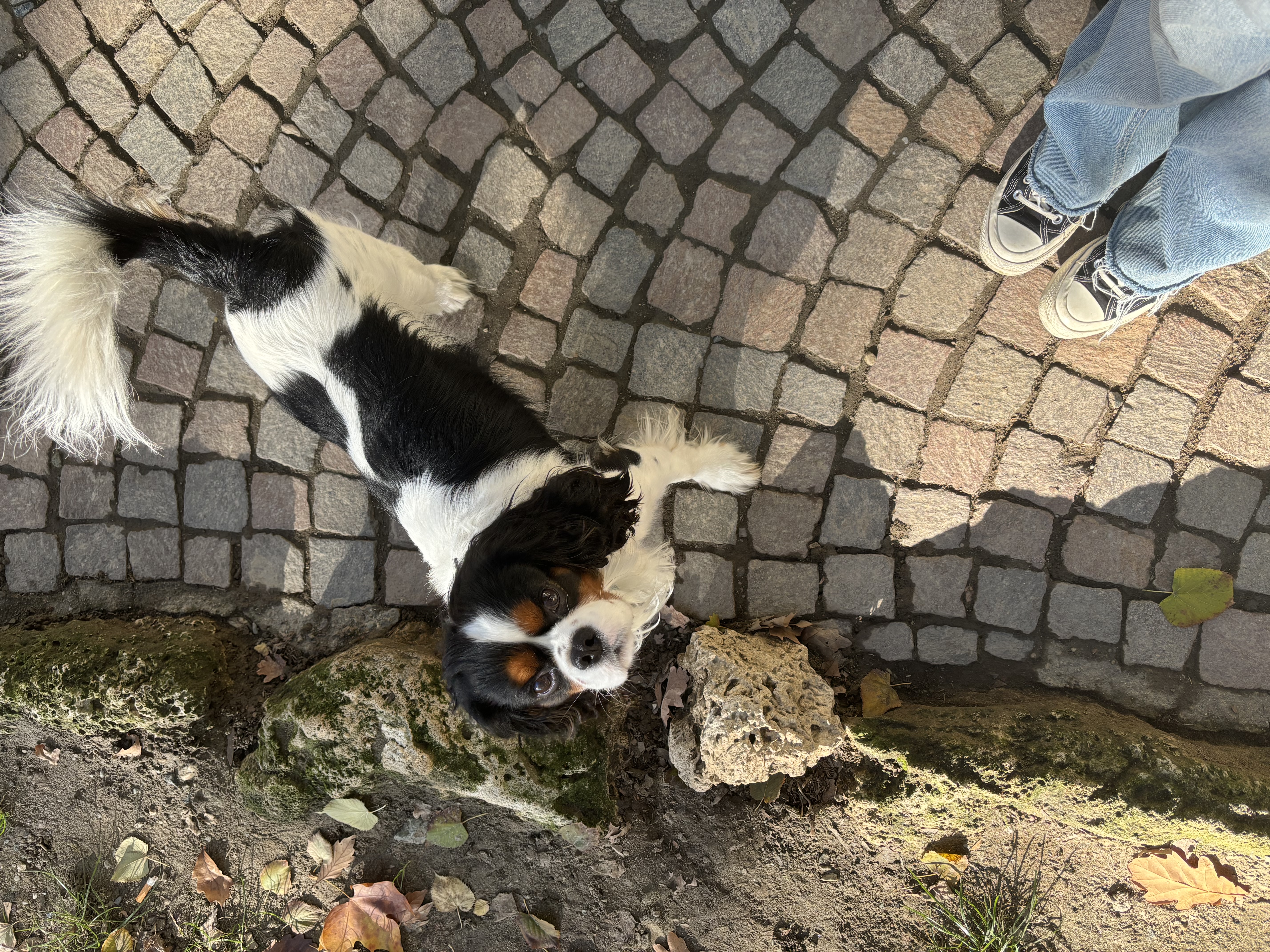 image-7