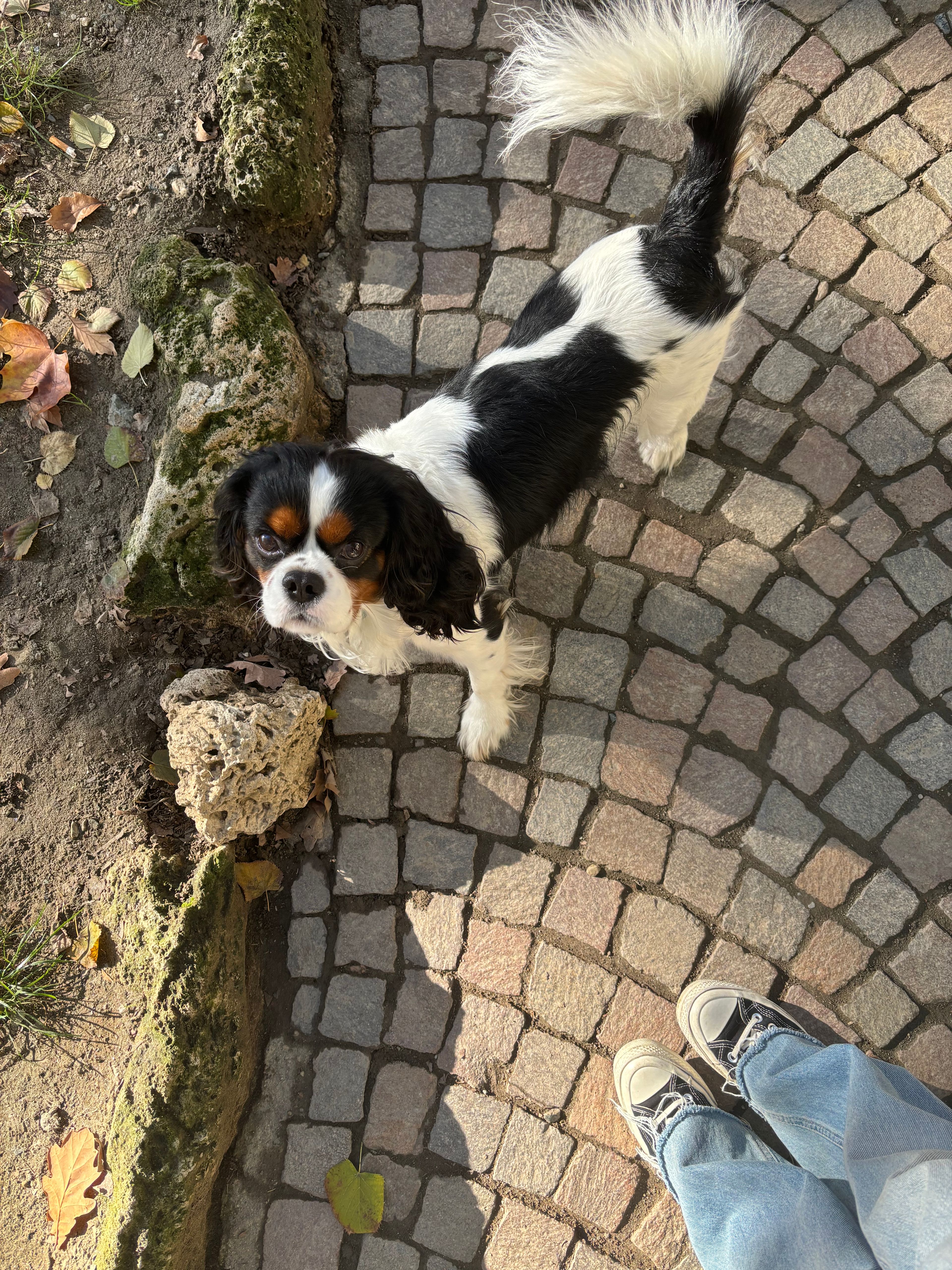 image-7