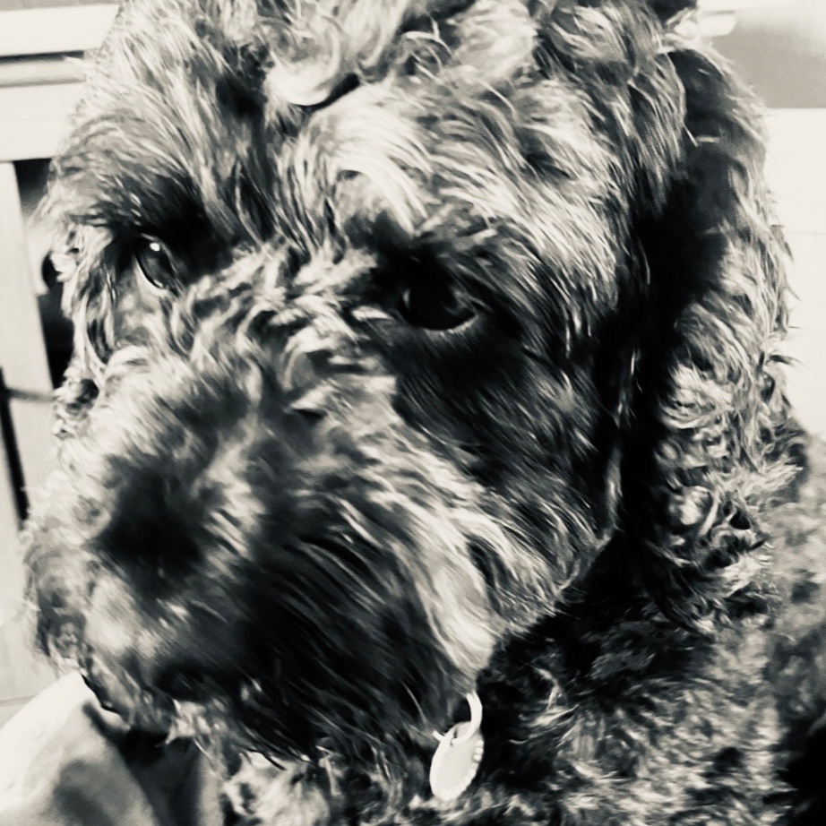 Ceri