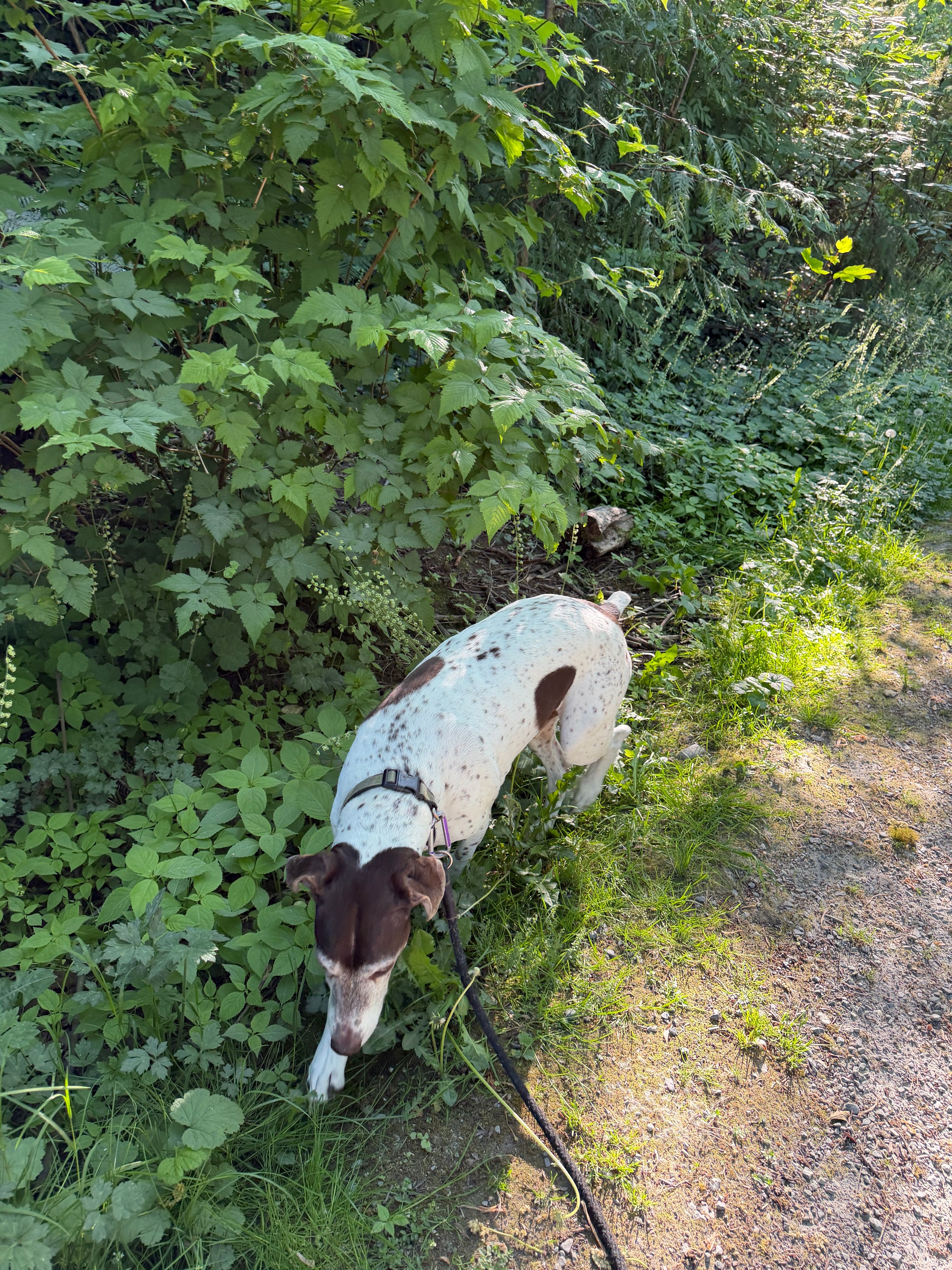 image-22