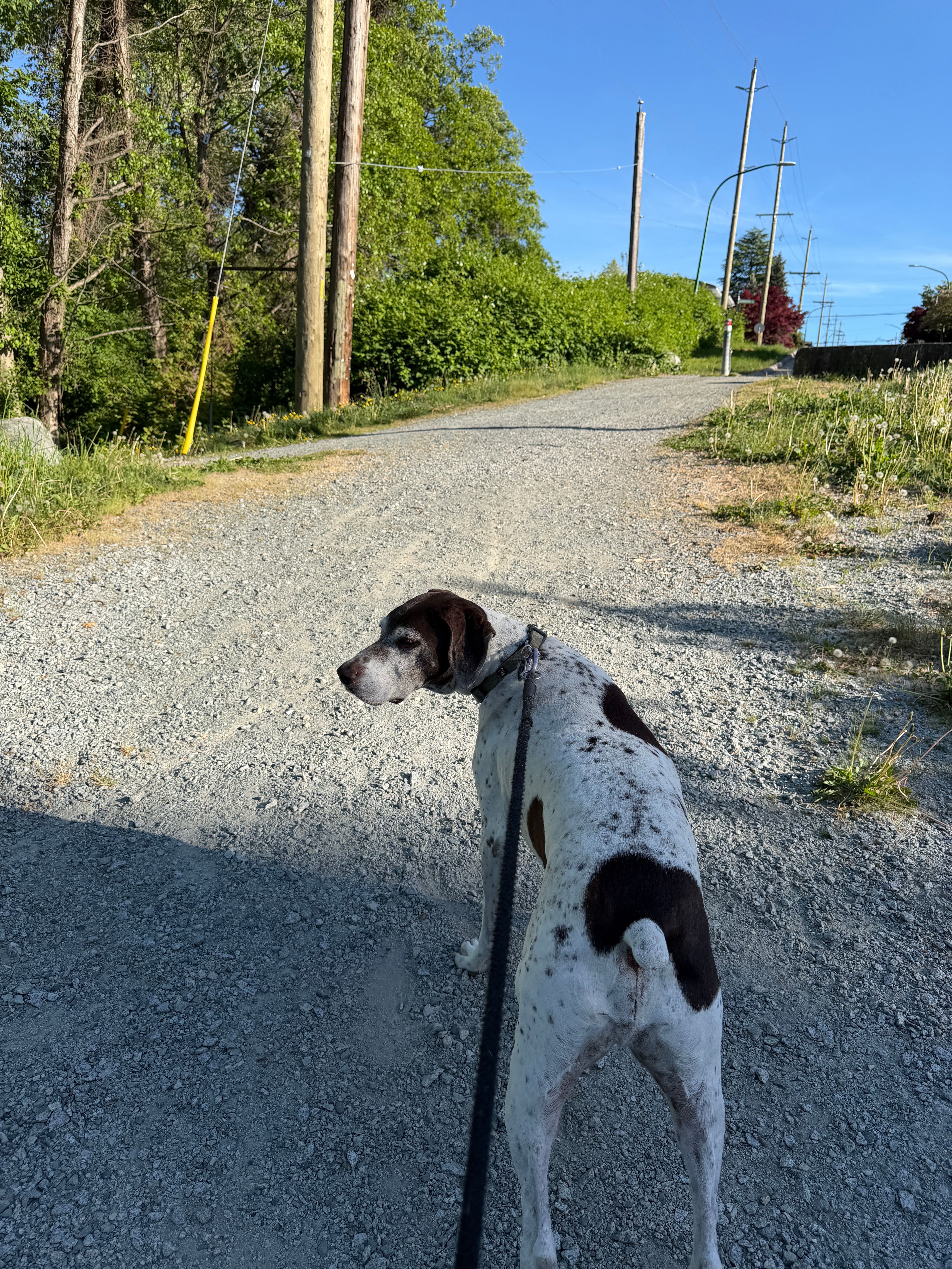 image-23